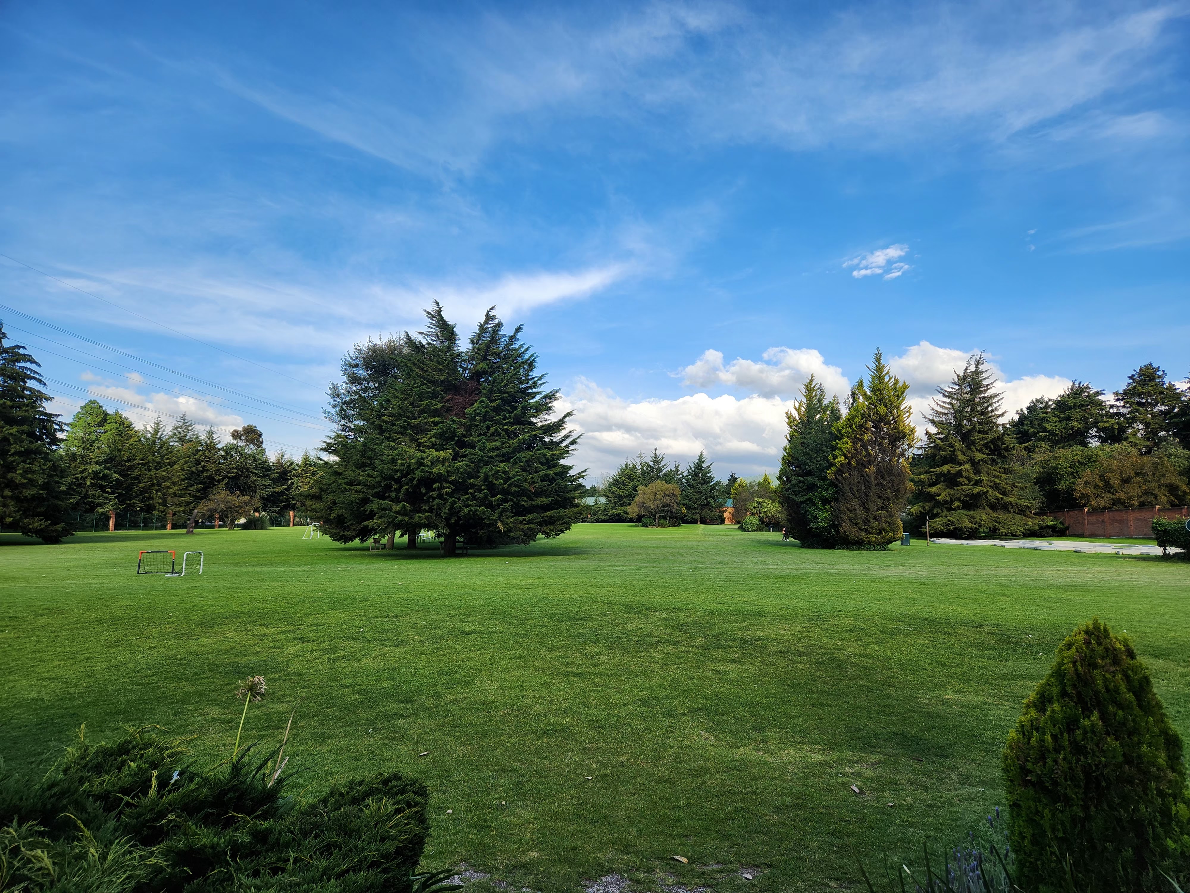 Restaurante Jajalpa image 4
