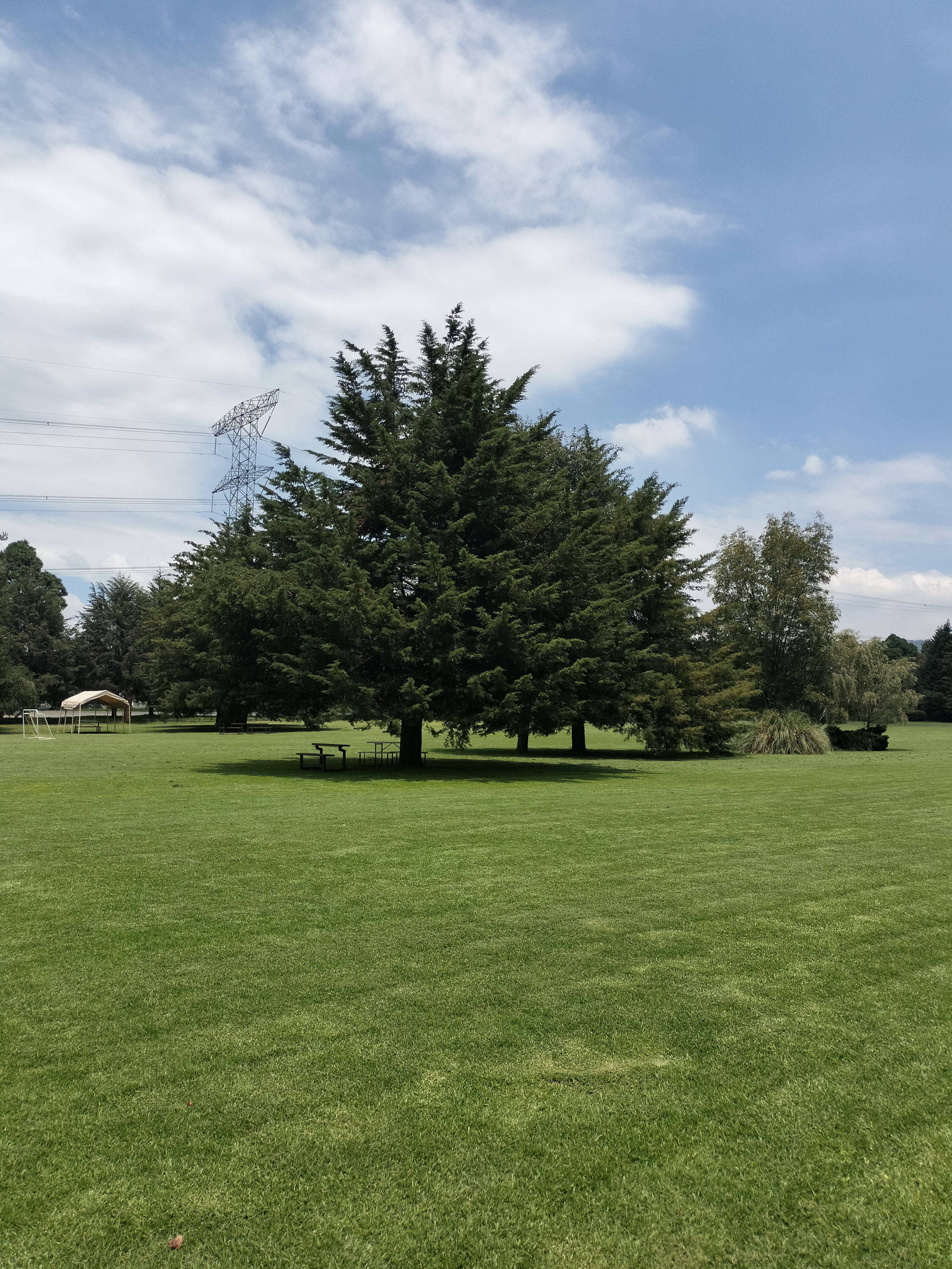 Restaurante Jajalpa image 10