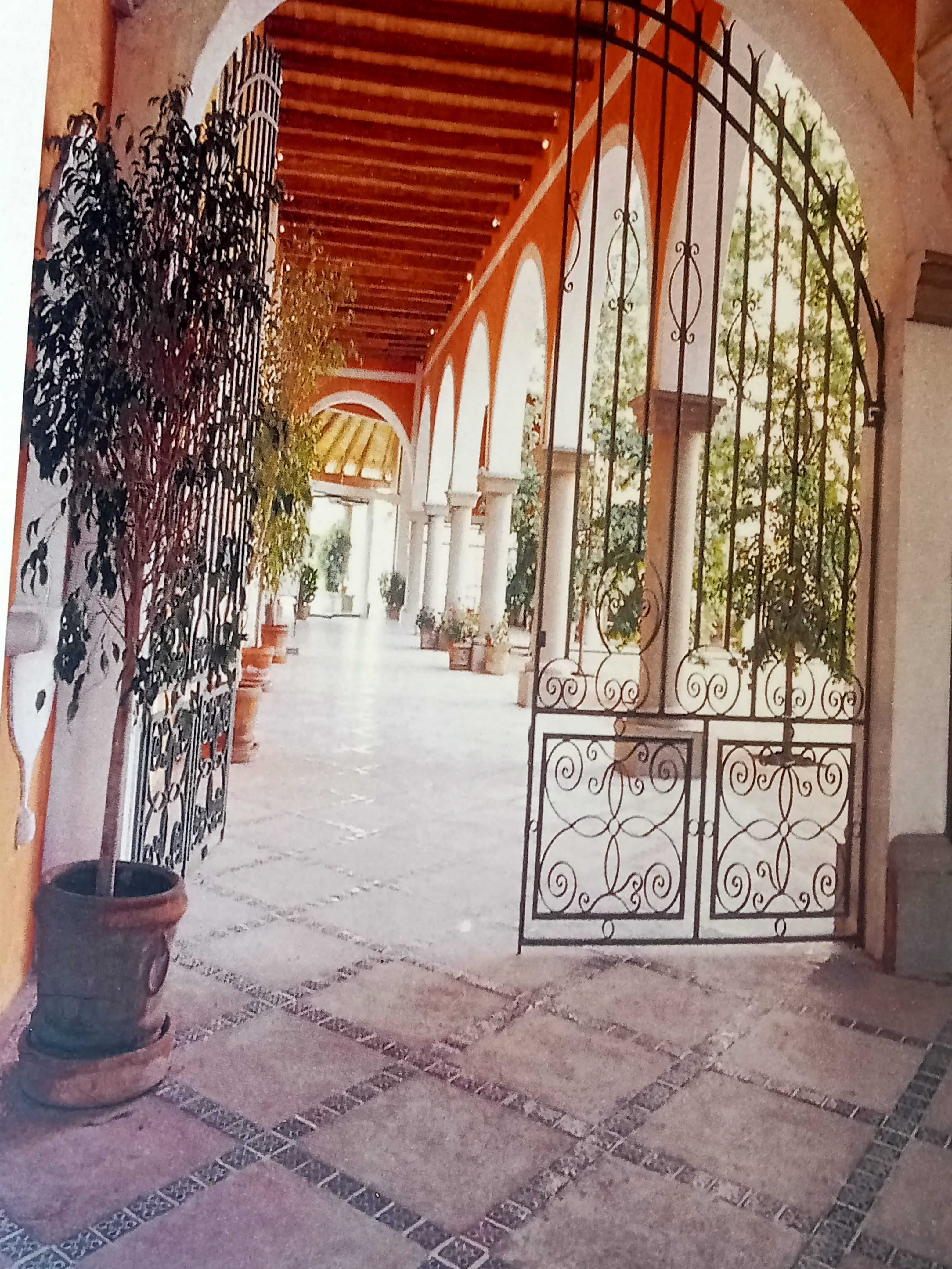 Hacienda del Parián image 5