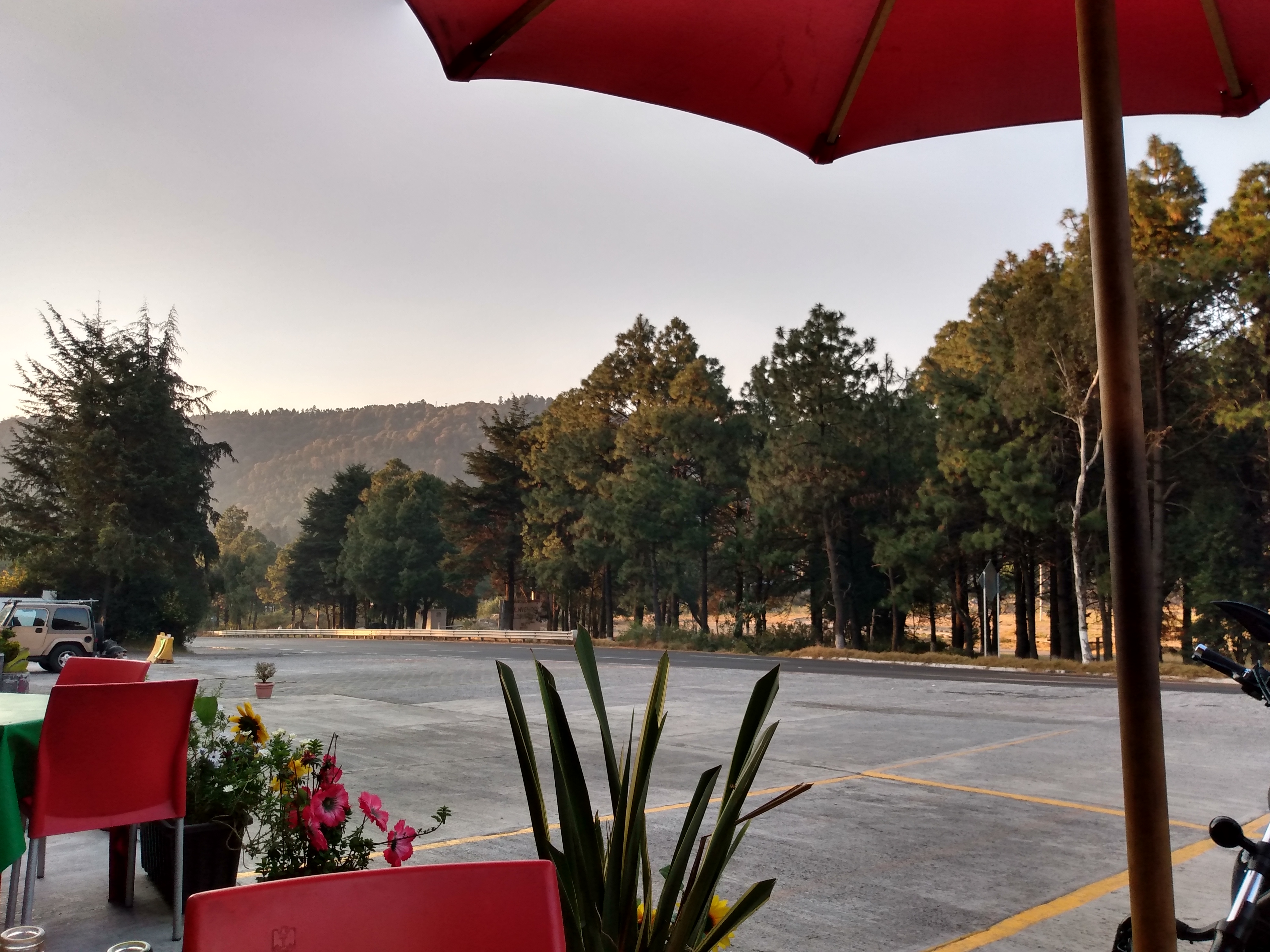 CABAÑA RESTAURANT EL TRENECITO image 4