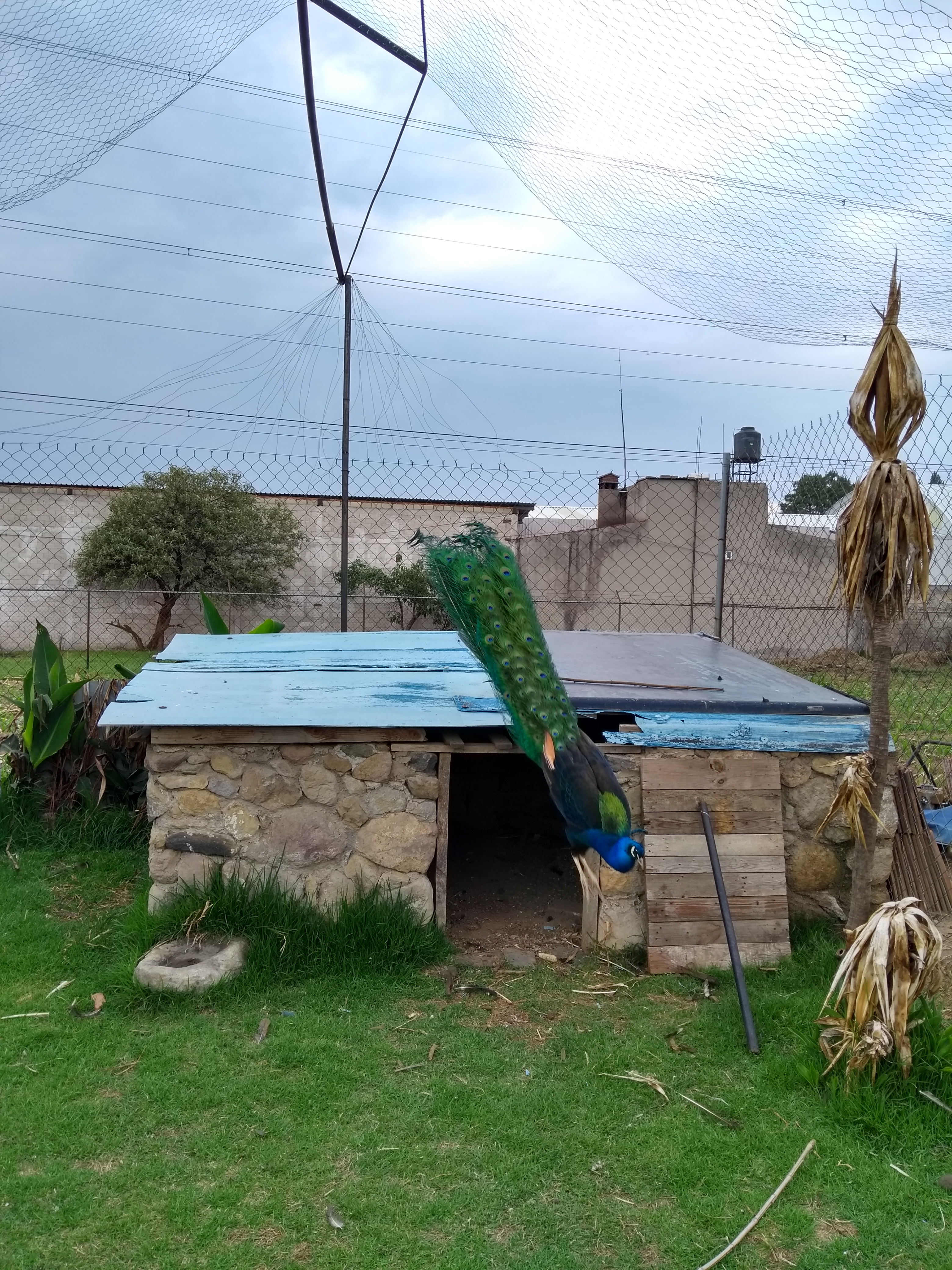 Cabaña La Quinta image 9