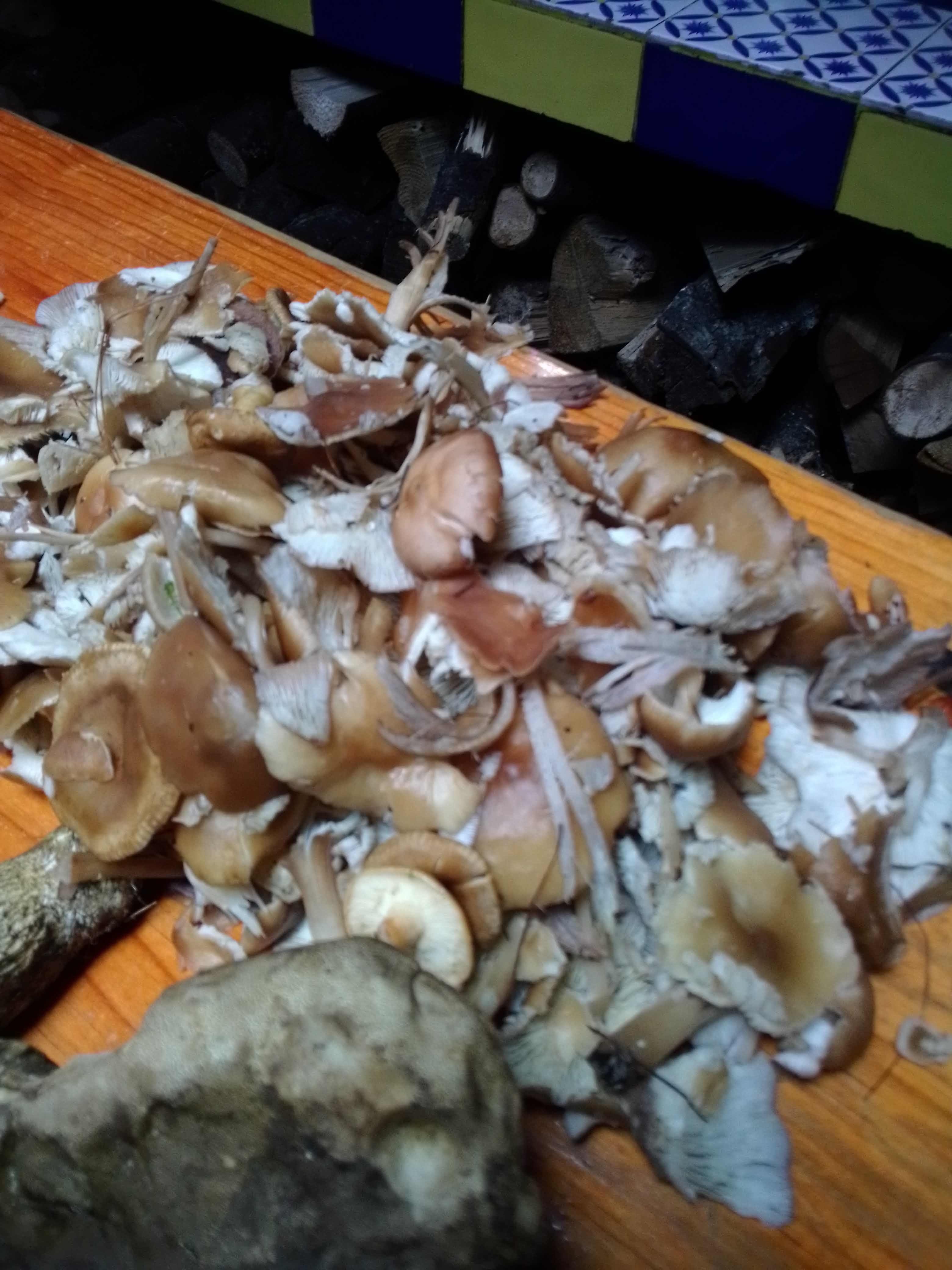 Restaurante Bar Campestre image 6