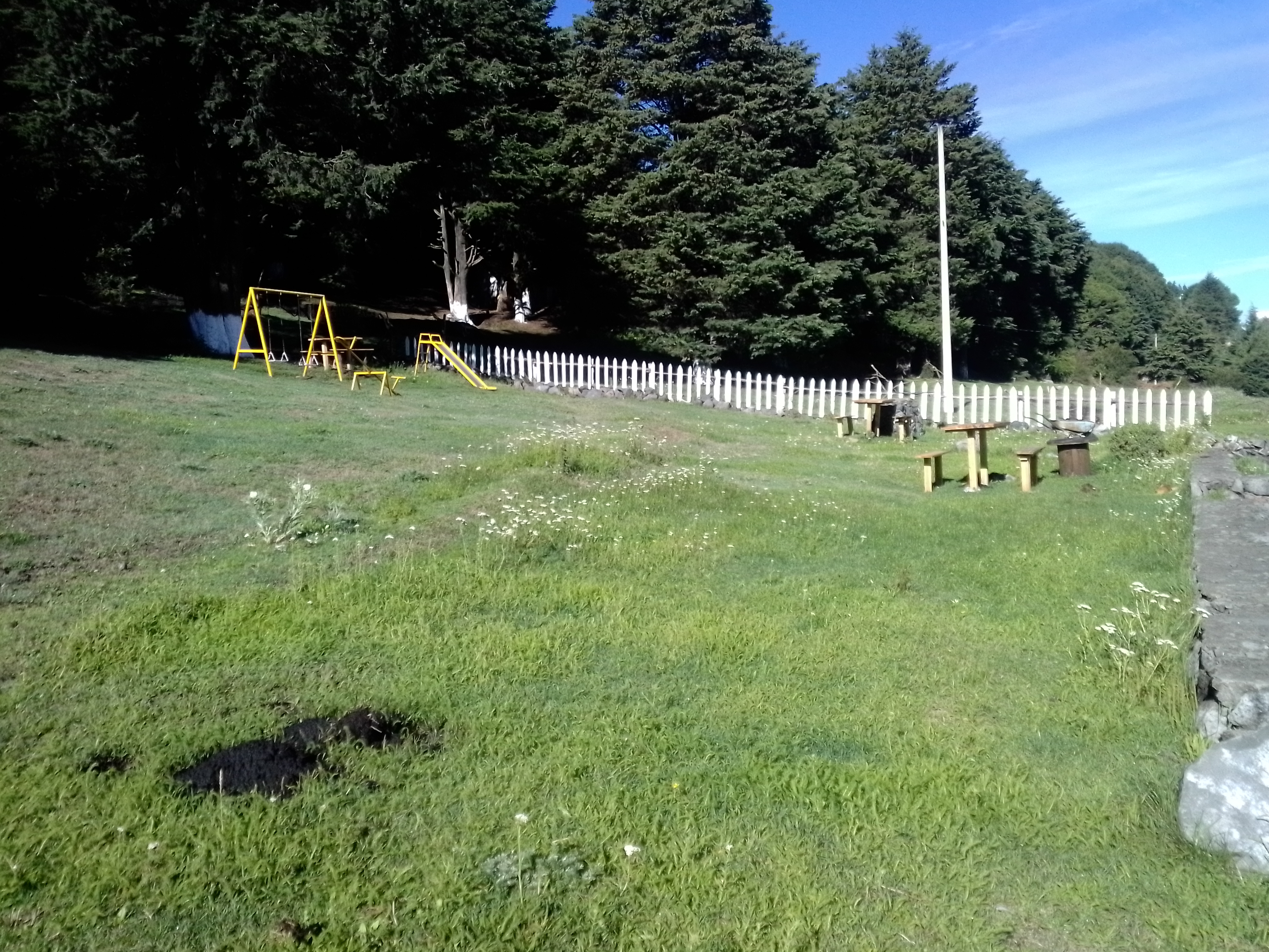 Restaurante Bar Campestre image 7