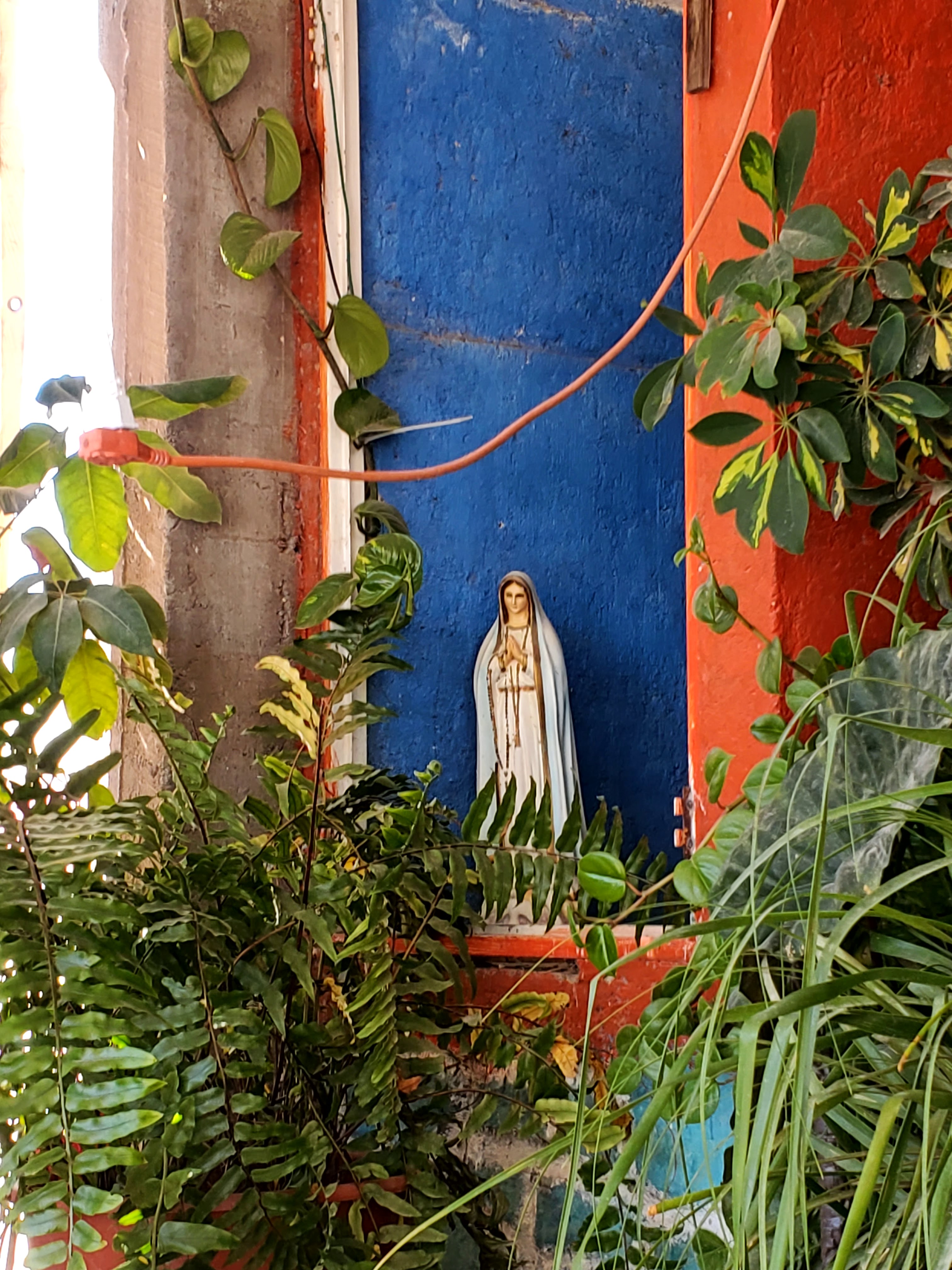 Mariscos ZAMARRIPA image 3