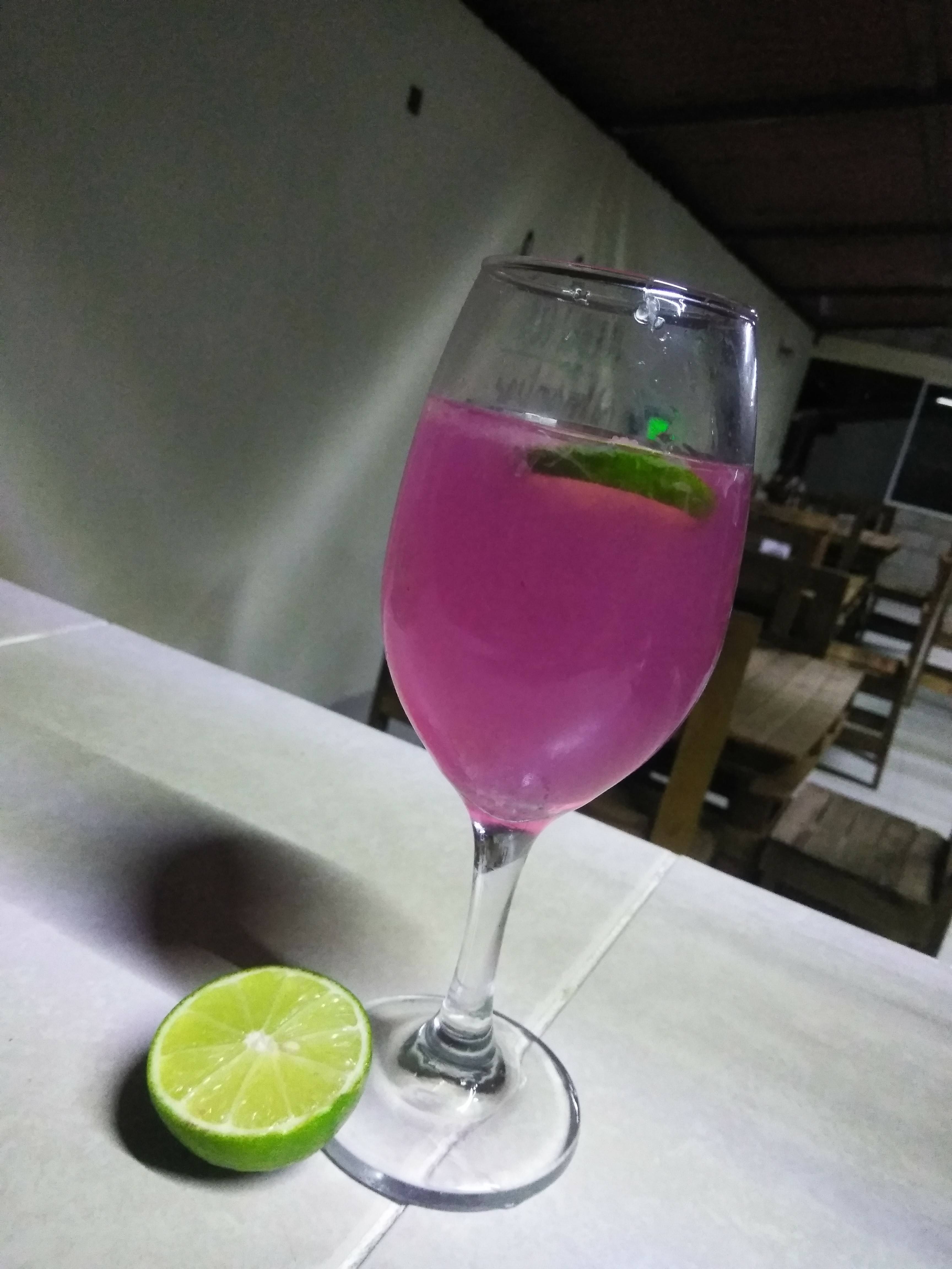 Los limones restaurant jardin image 8