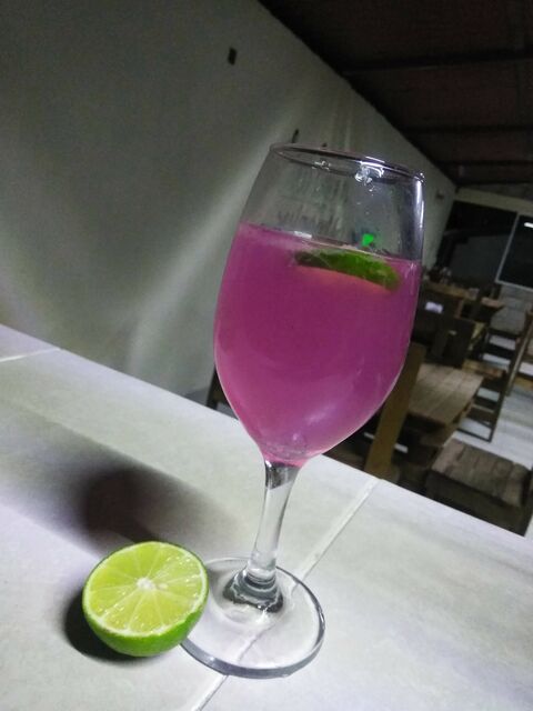 Los limones restaurant jardin image 8