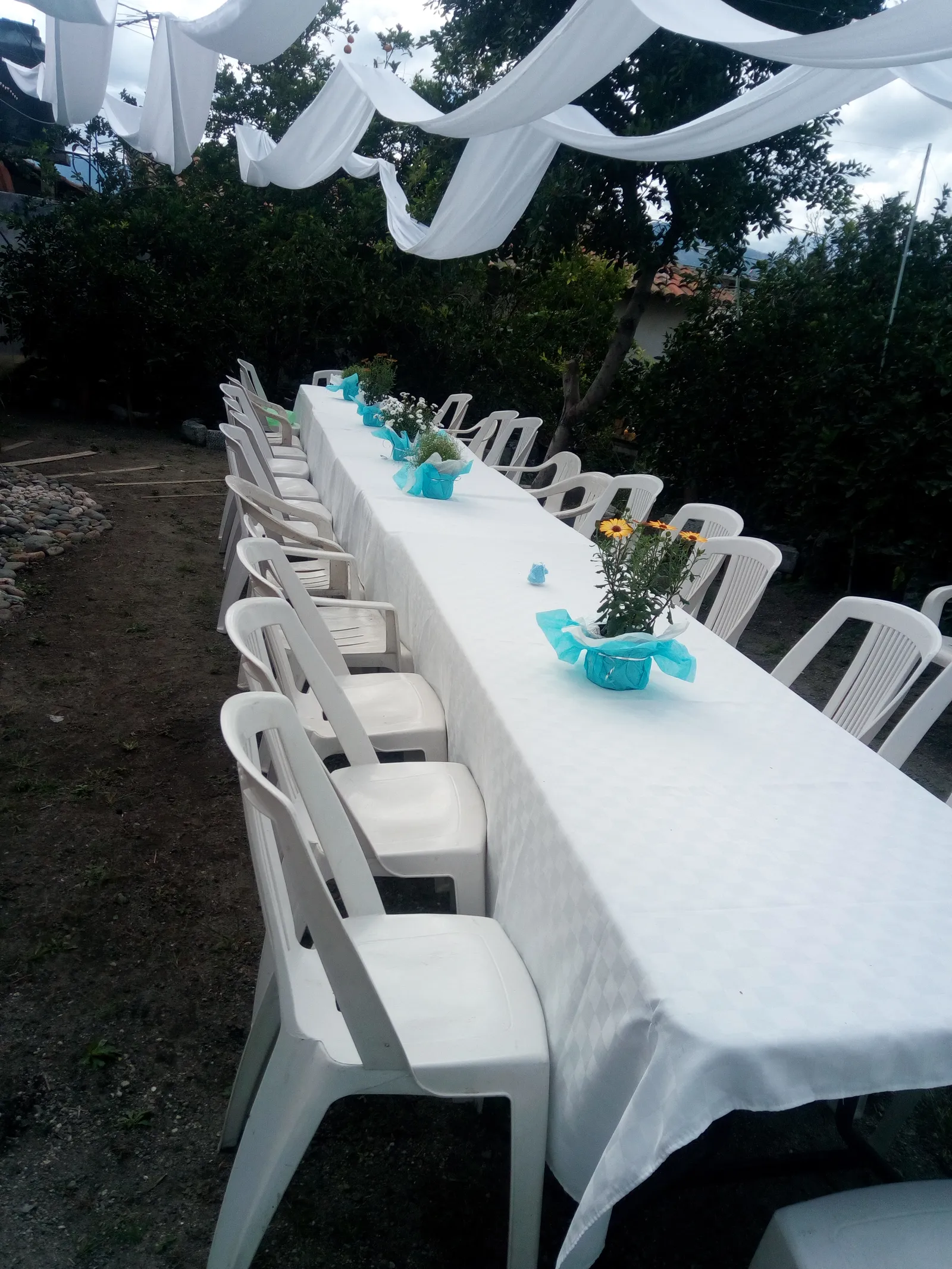 Los limones restaurant jardin image 10