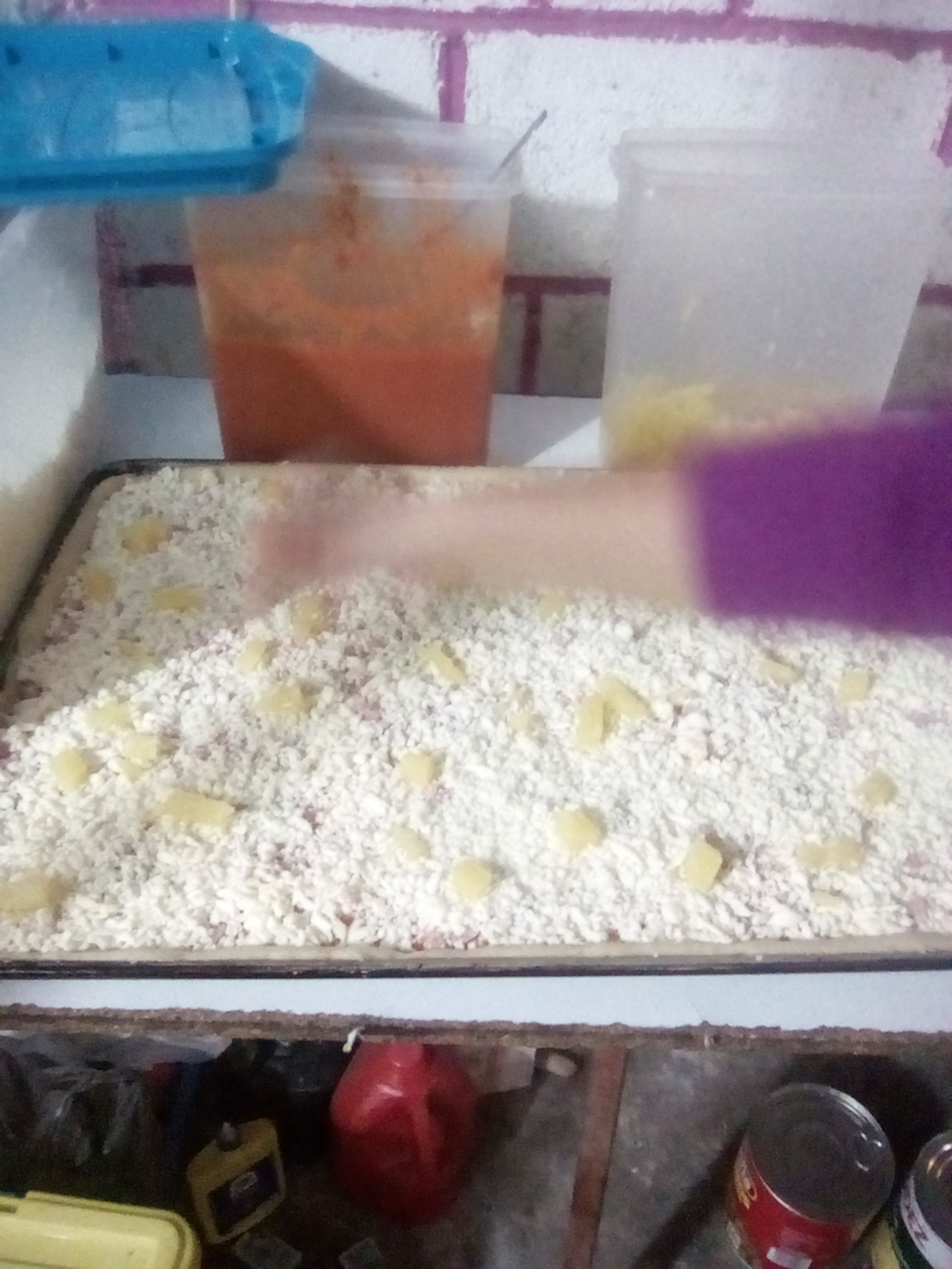 Pizzeria IMF Pilcaya GRO. image 3