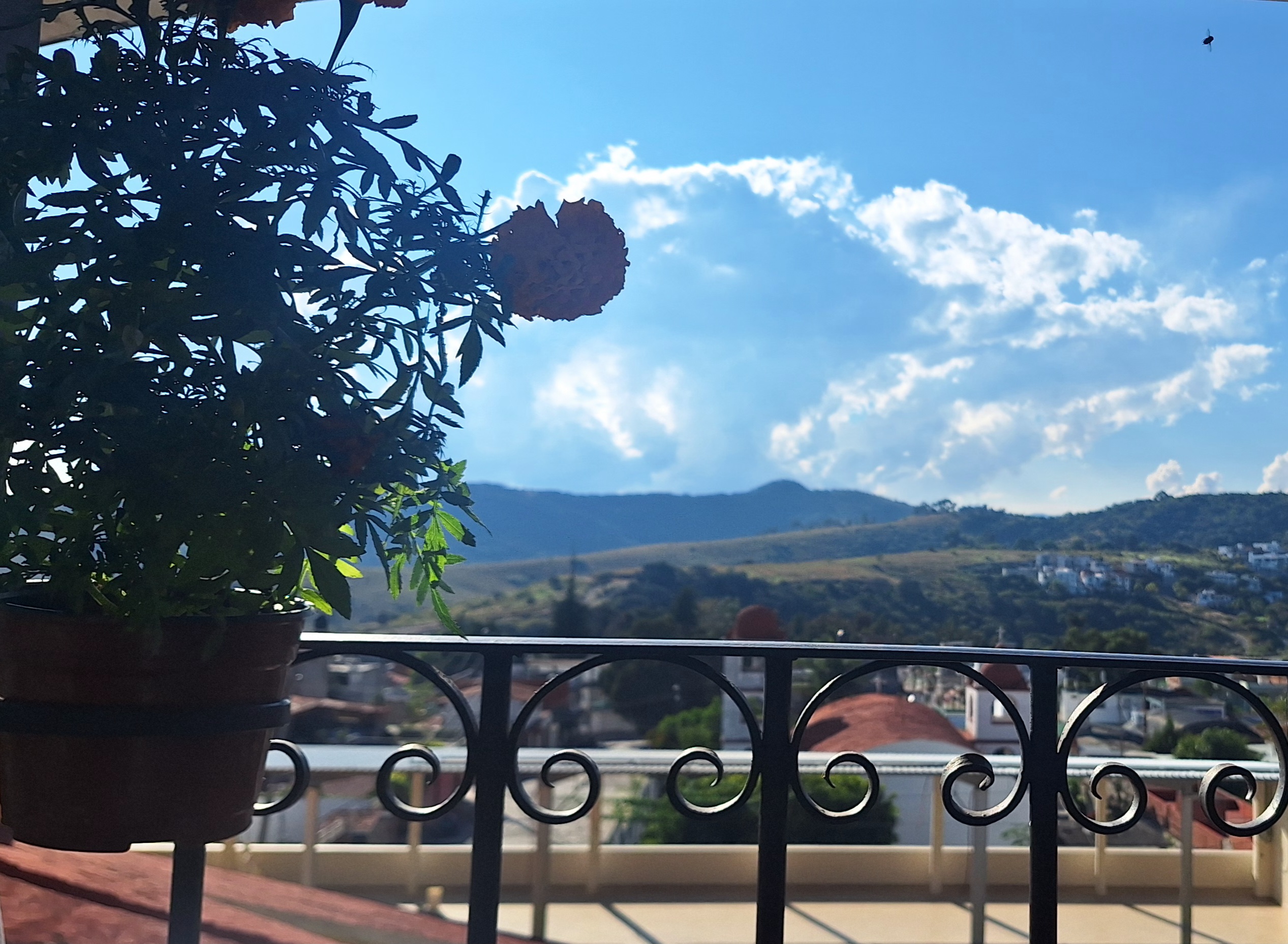 Mariscos El Delfín image 10