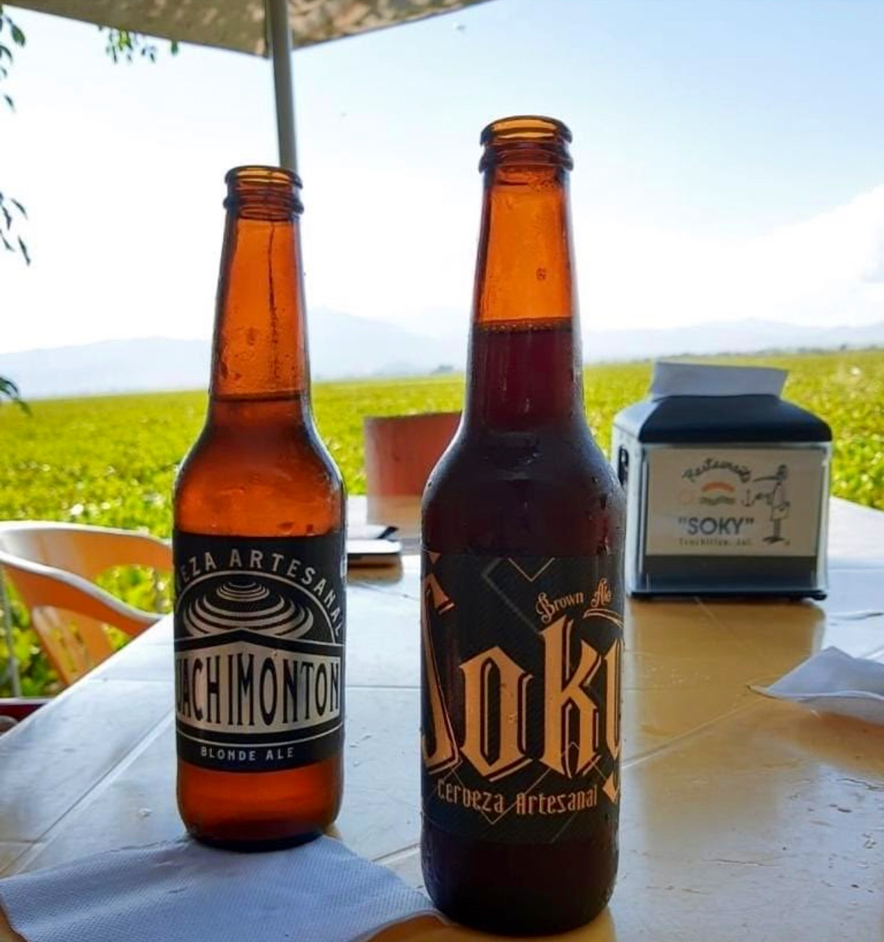 Restaurante SOKY Teuchitlán image 2