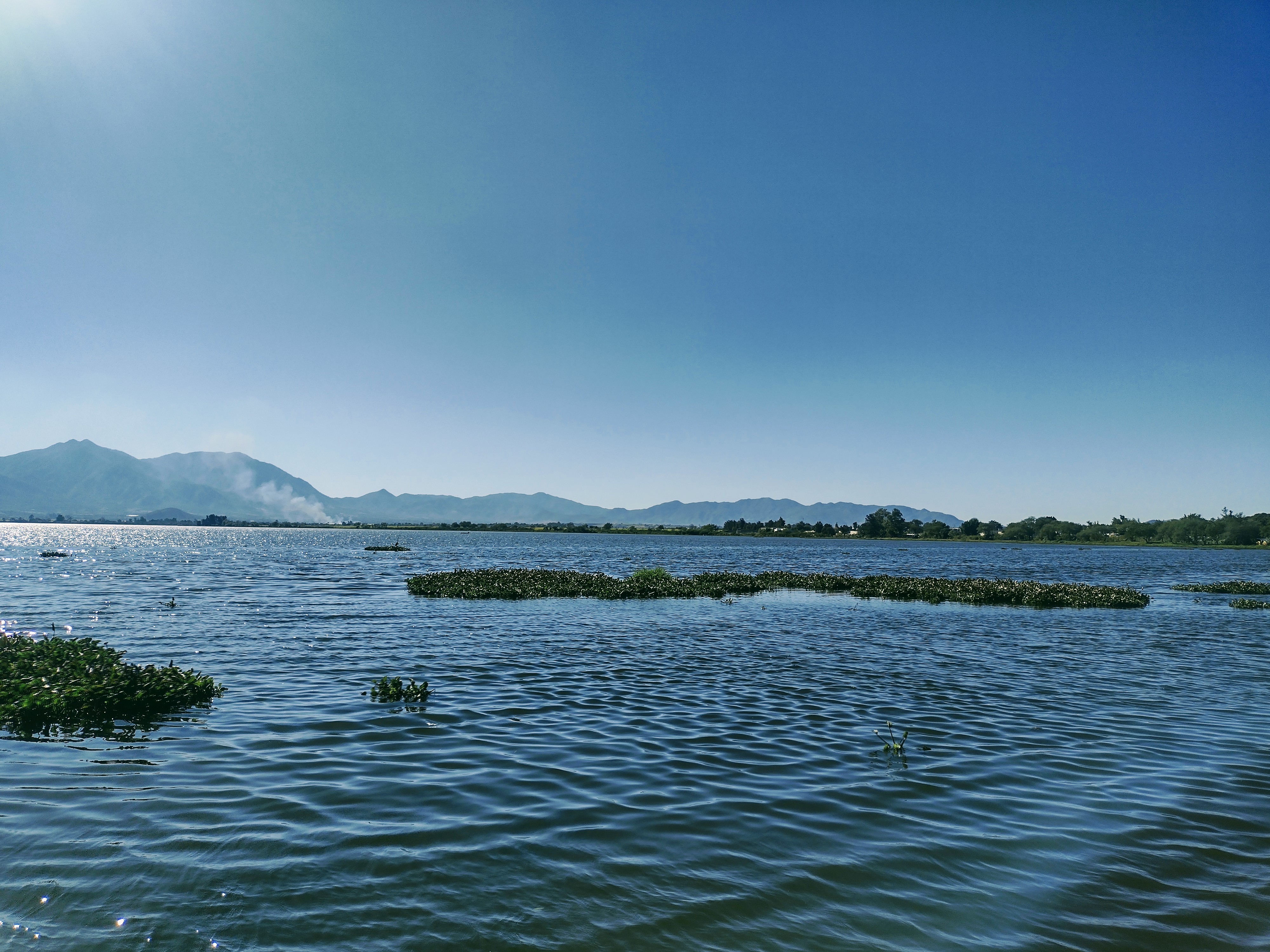 Restaurante SOKY Teuchitlán image 3
