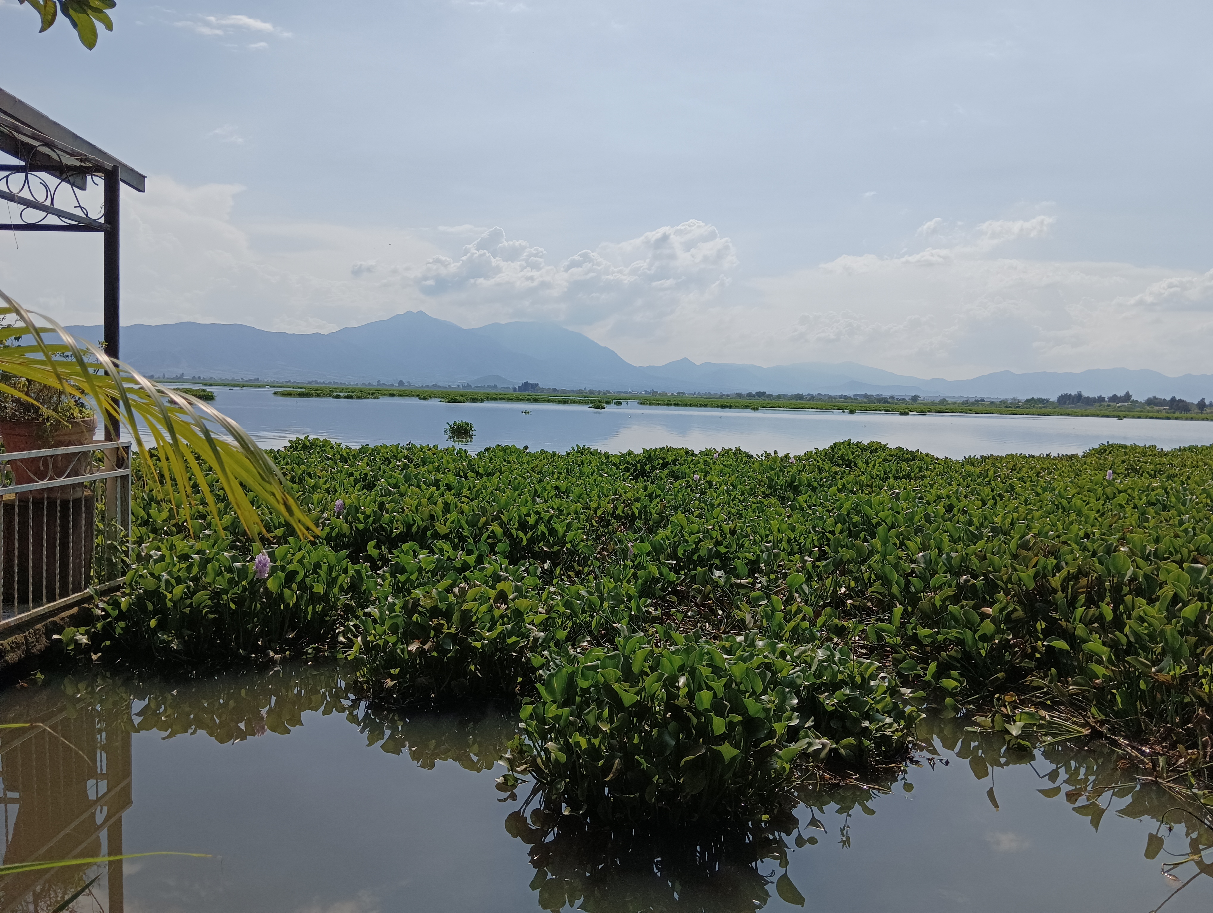 Restaurante SOKY Teuchitlán image 4