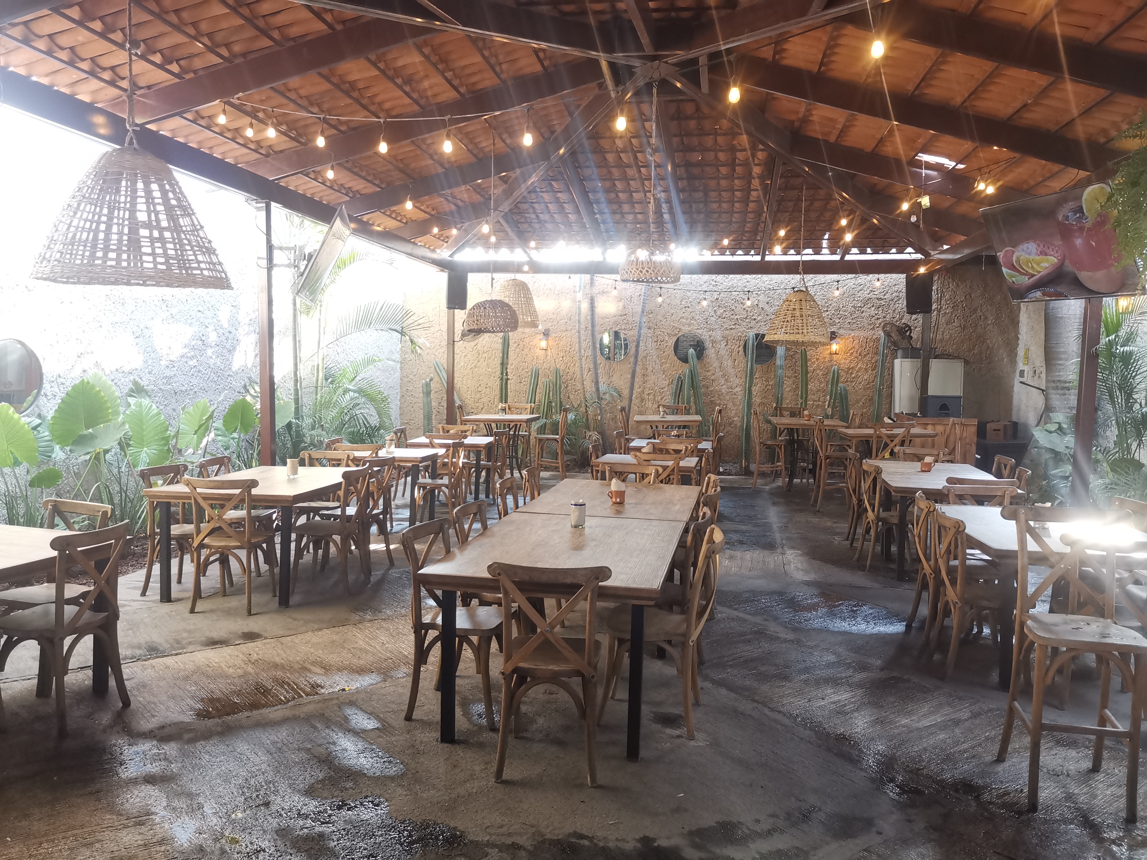 Timotea Restaurante image 1