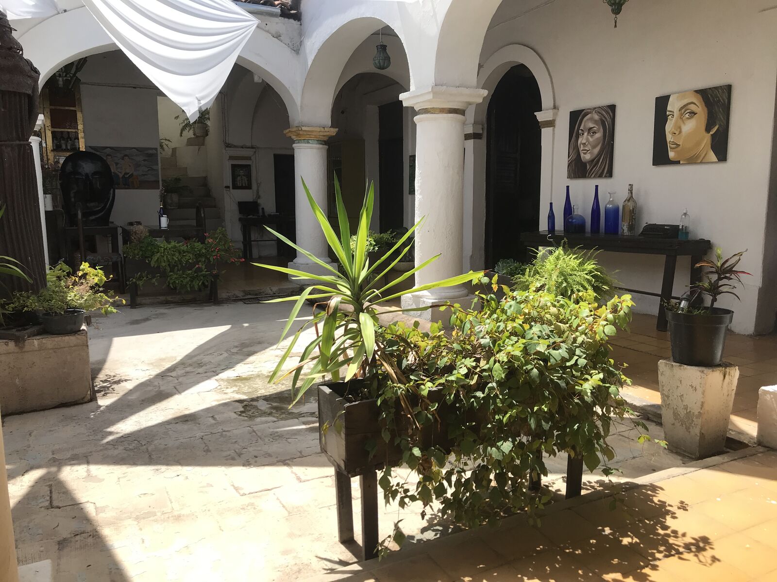 CASA BLANCA image 3