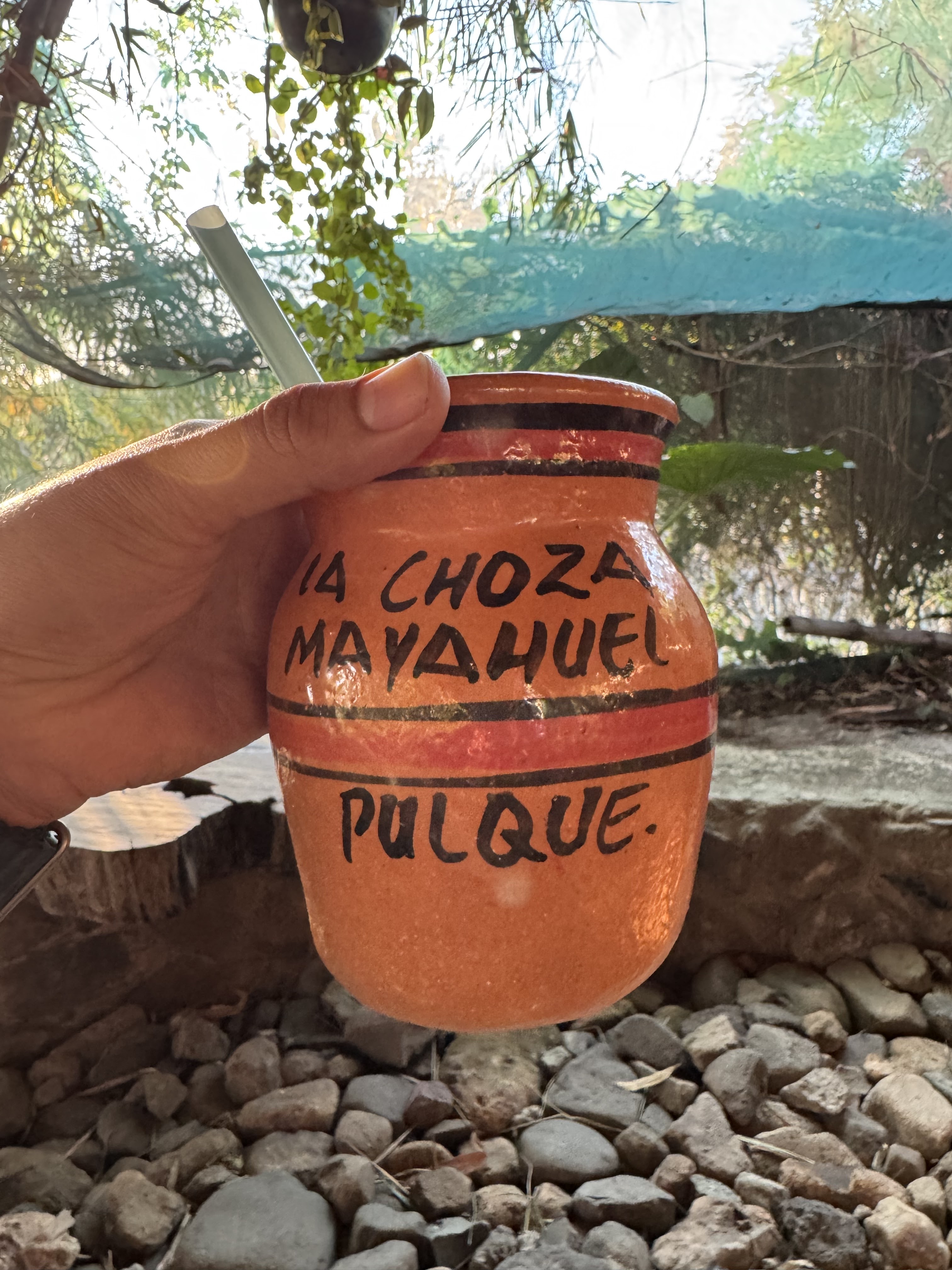 La Choza Mayahuel image 7
