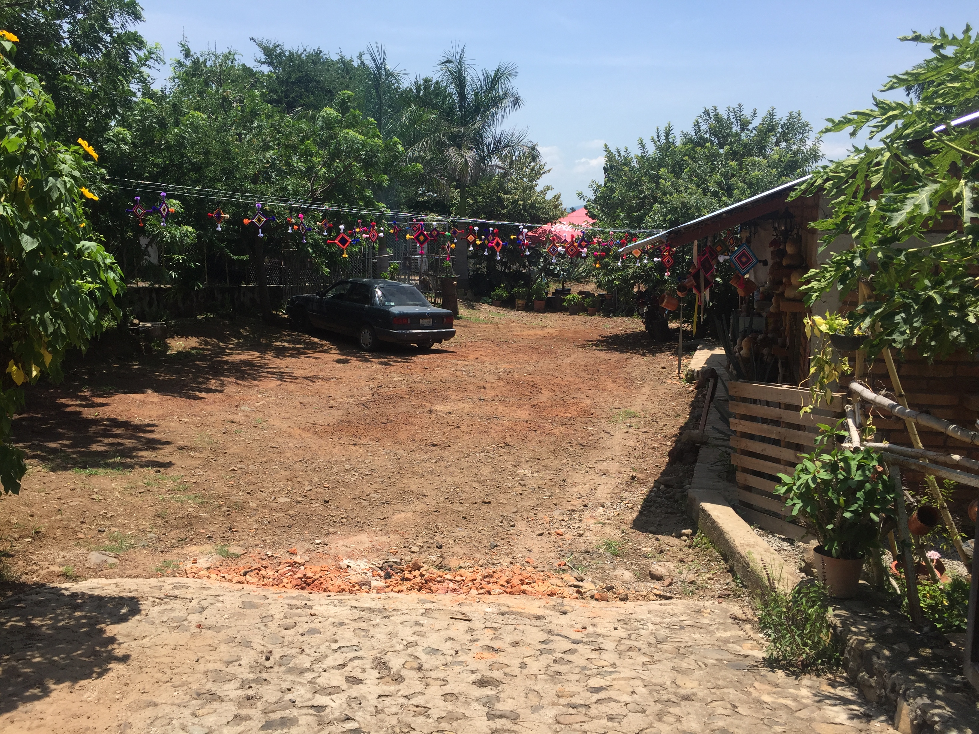 La Choza Mayahuel image 9