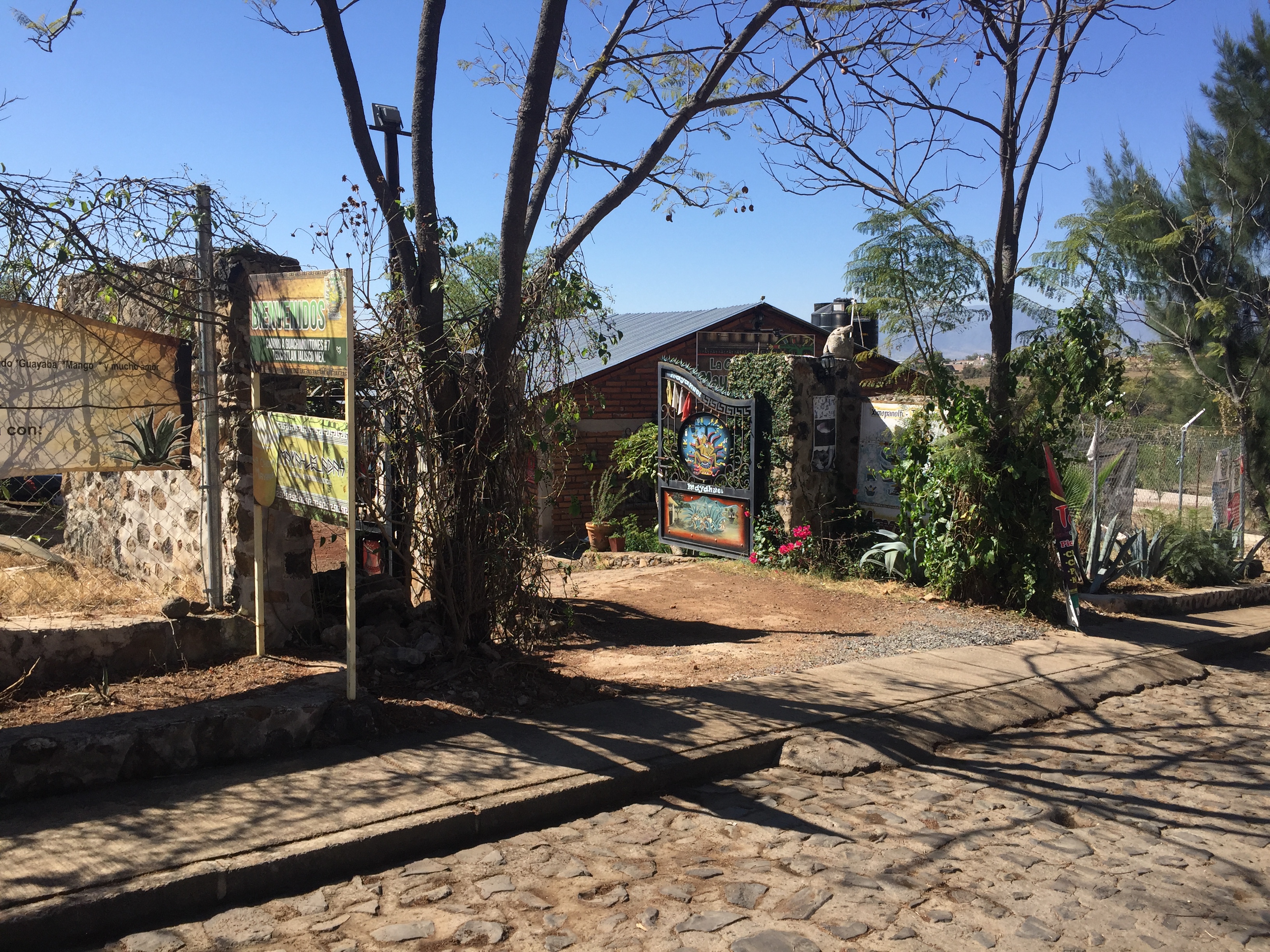 La Choza Mayahuel image 10