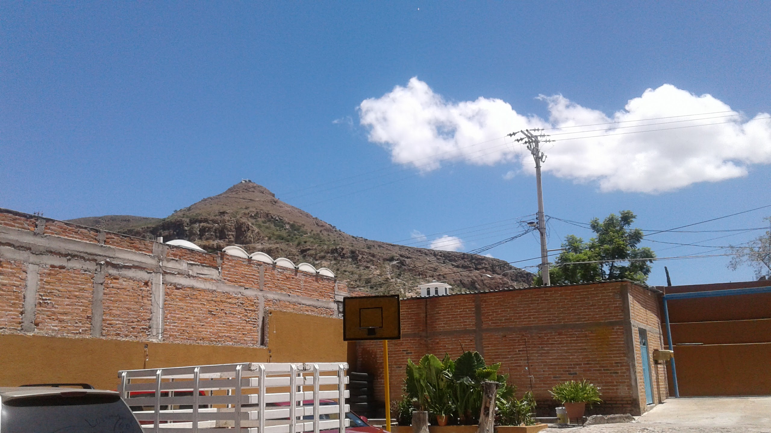 Tortillería Lerma image 2