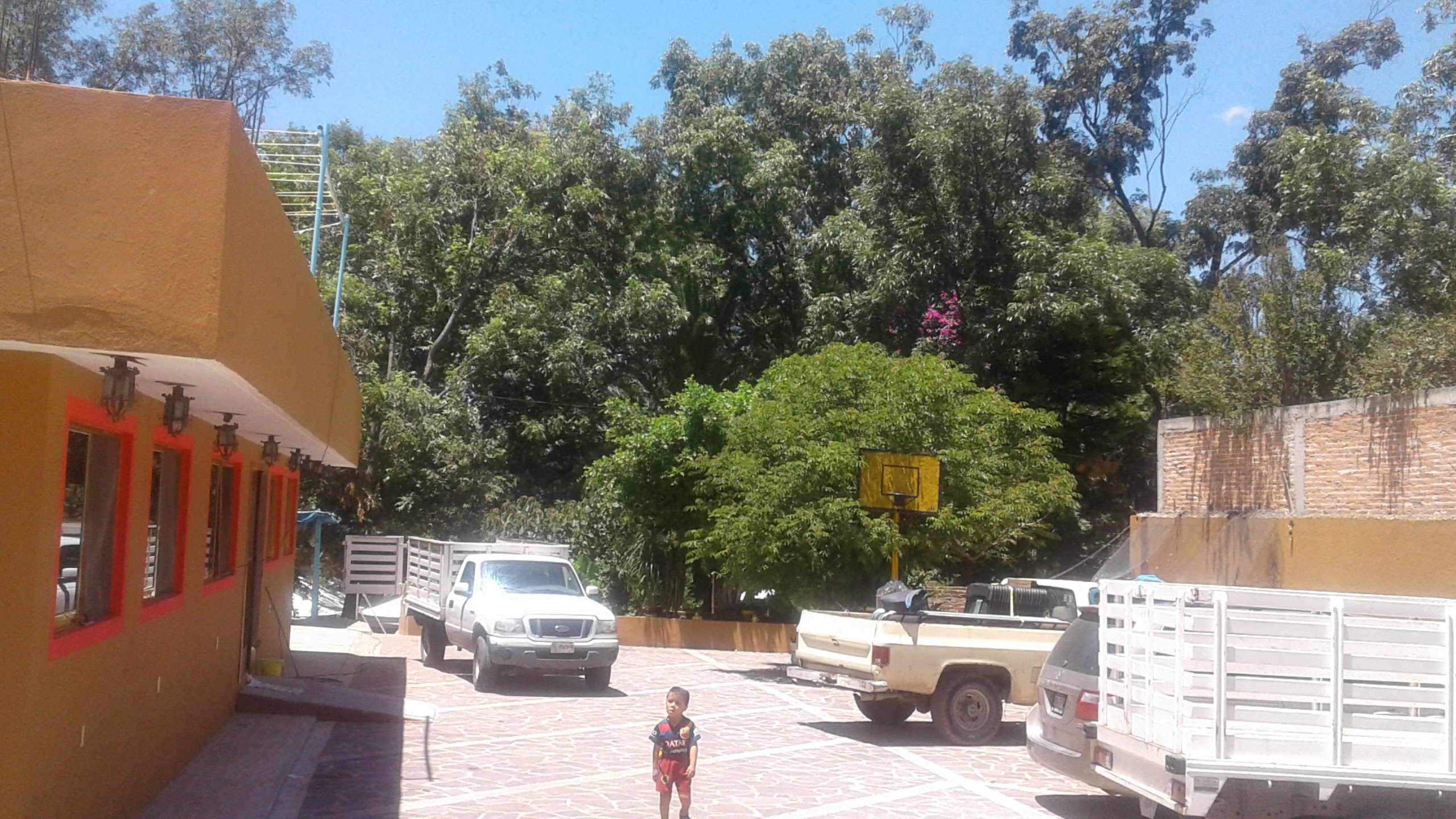 Tortillería Lerma image 3