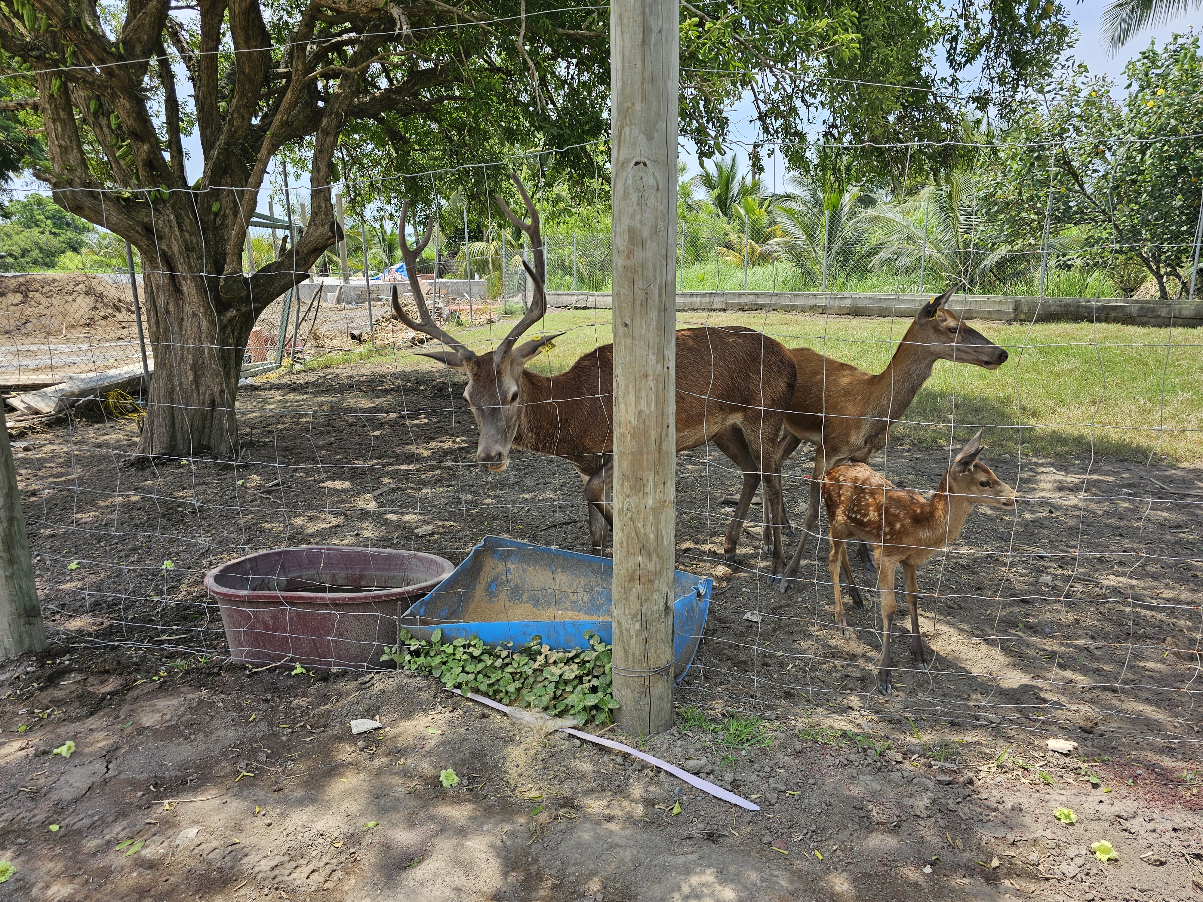 Riverside Restaurant image 6