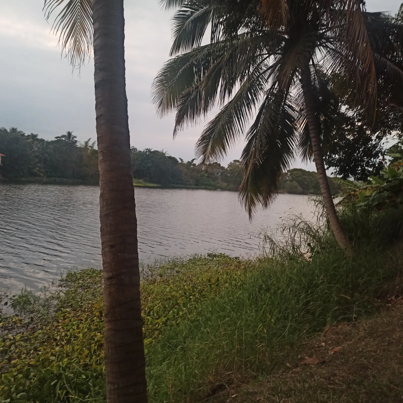 Río Alegre image 3