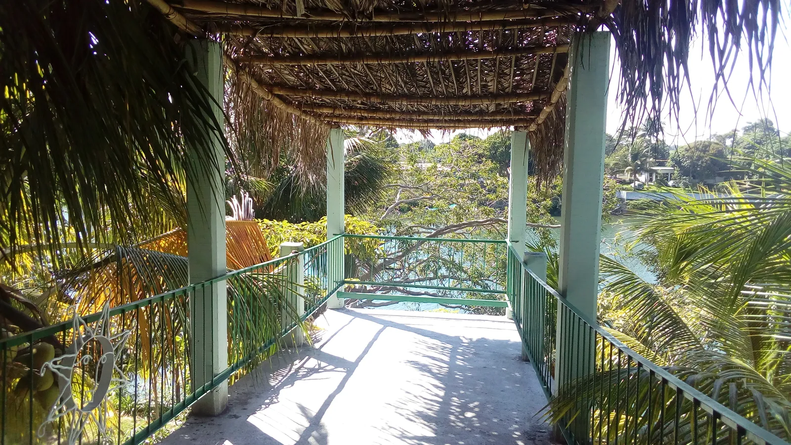 Río Alegre image 5