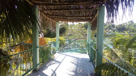 Río Alegre image 5