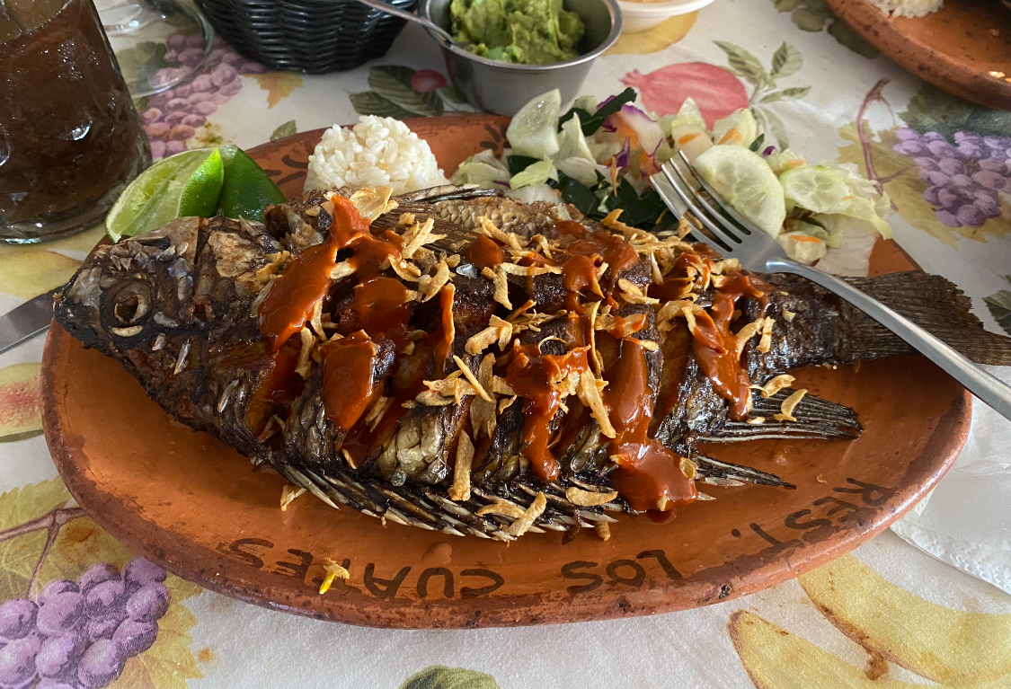 Las Mojarras del Farallon image 4