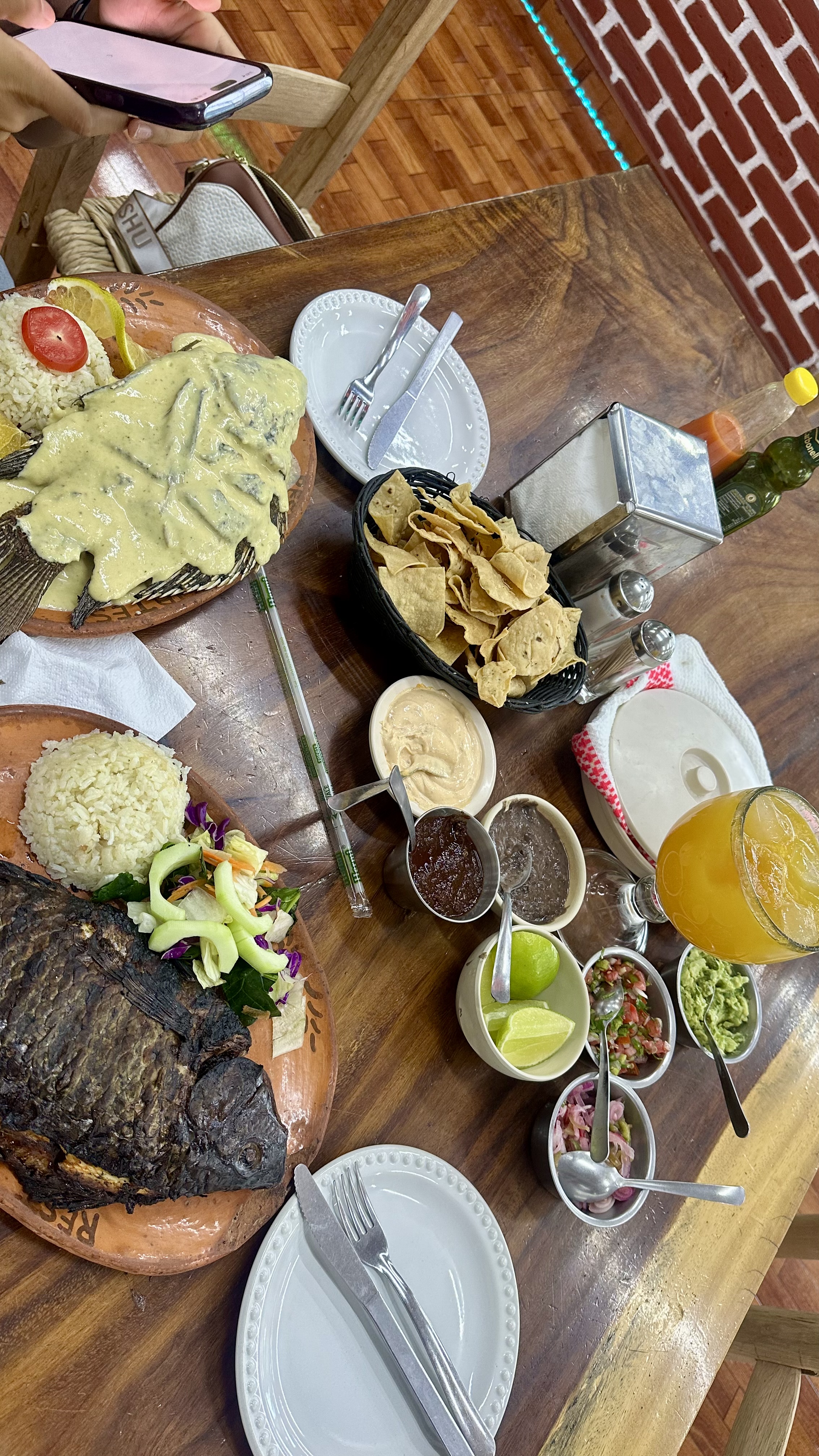 Las Mojarras del Farallon image 5