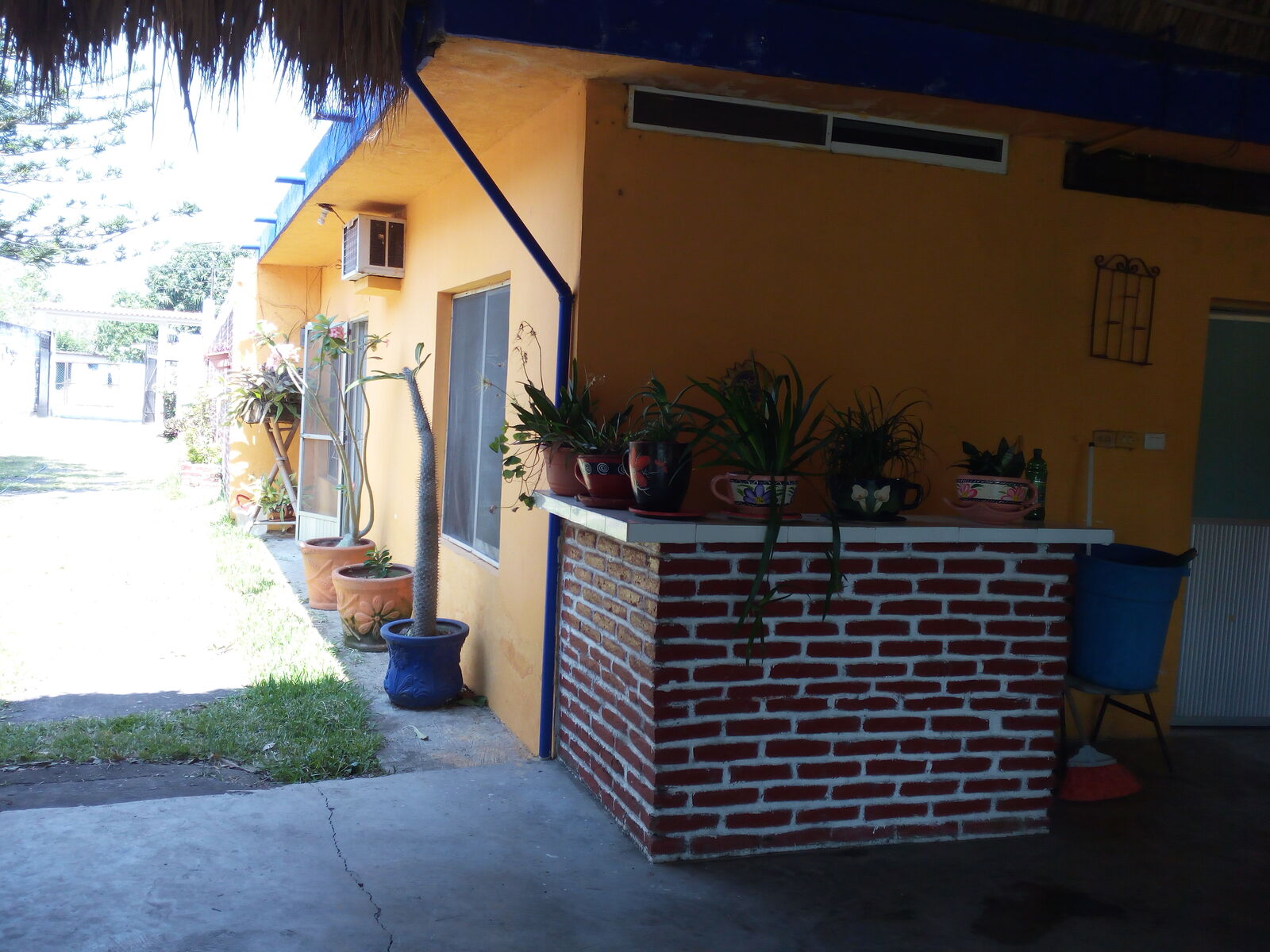 La Pecera del Sabor image 9