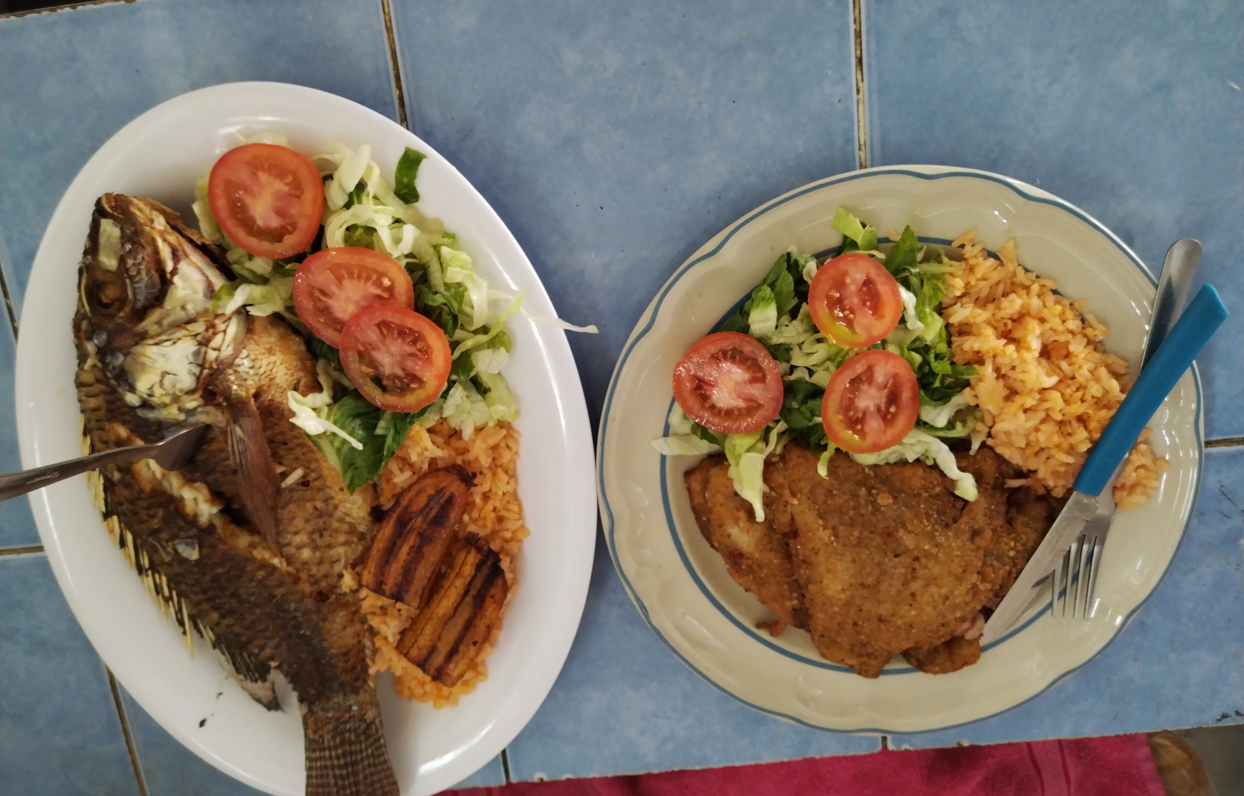 El Rincon jarocho image 3