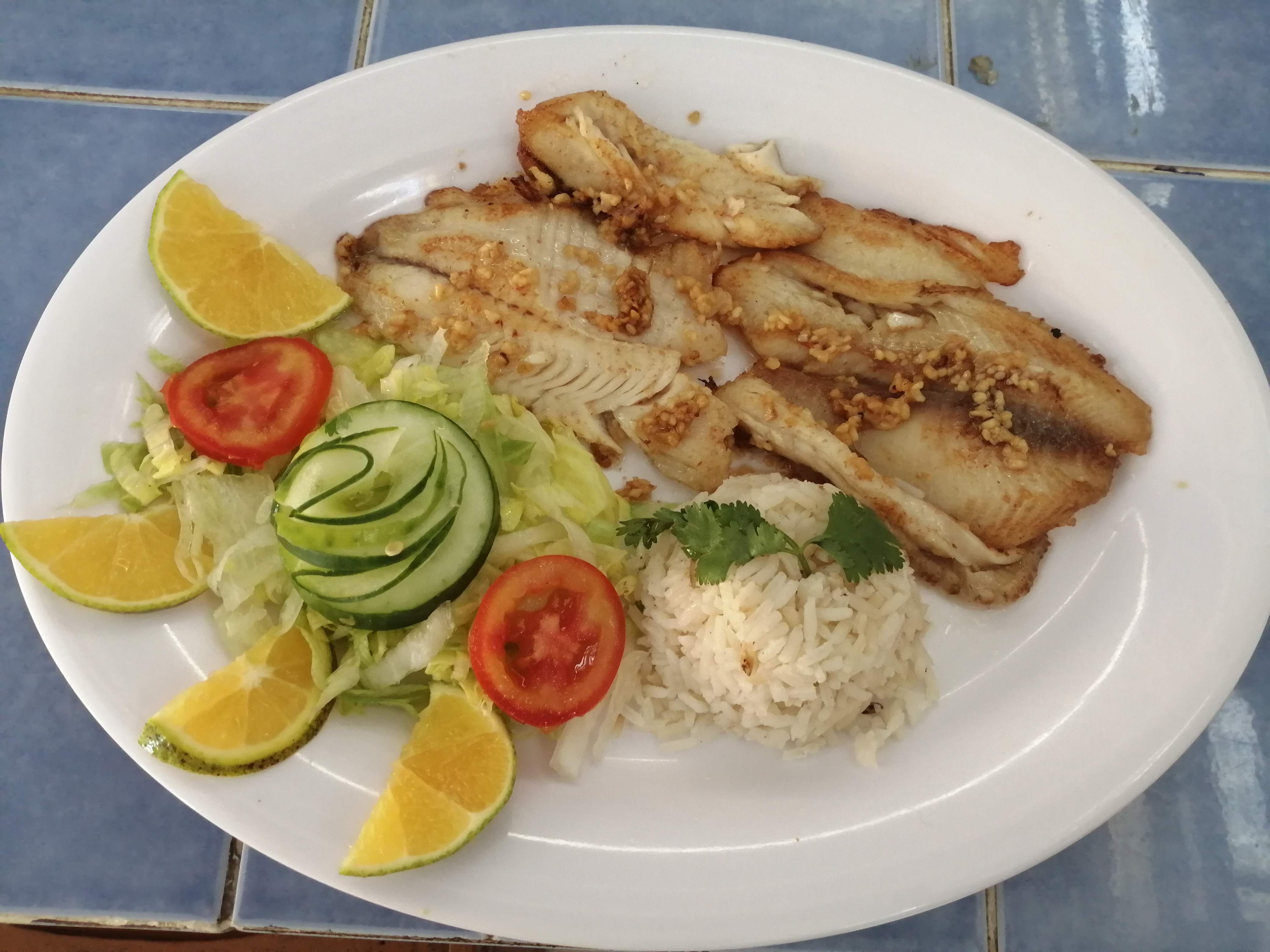 El Rincon jarocho image 9