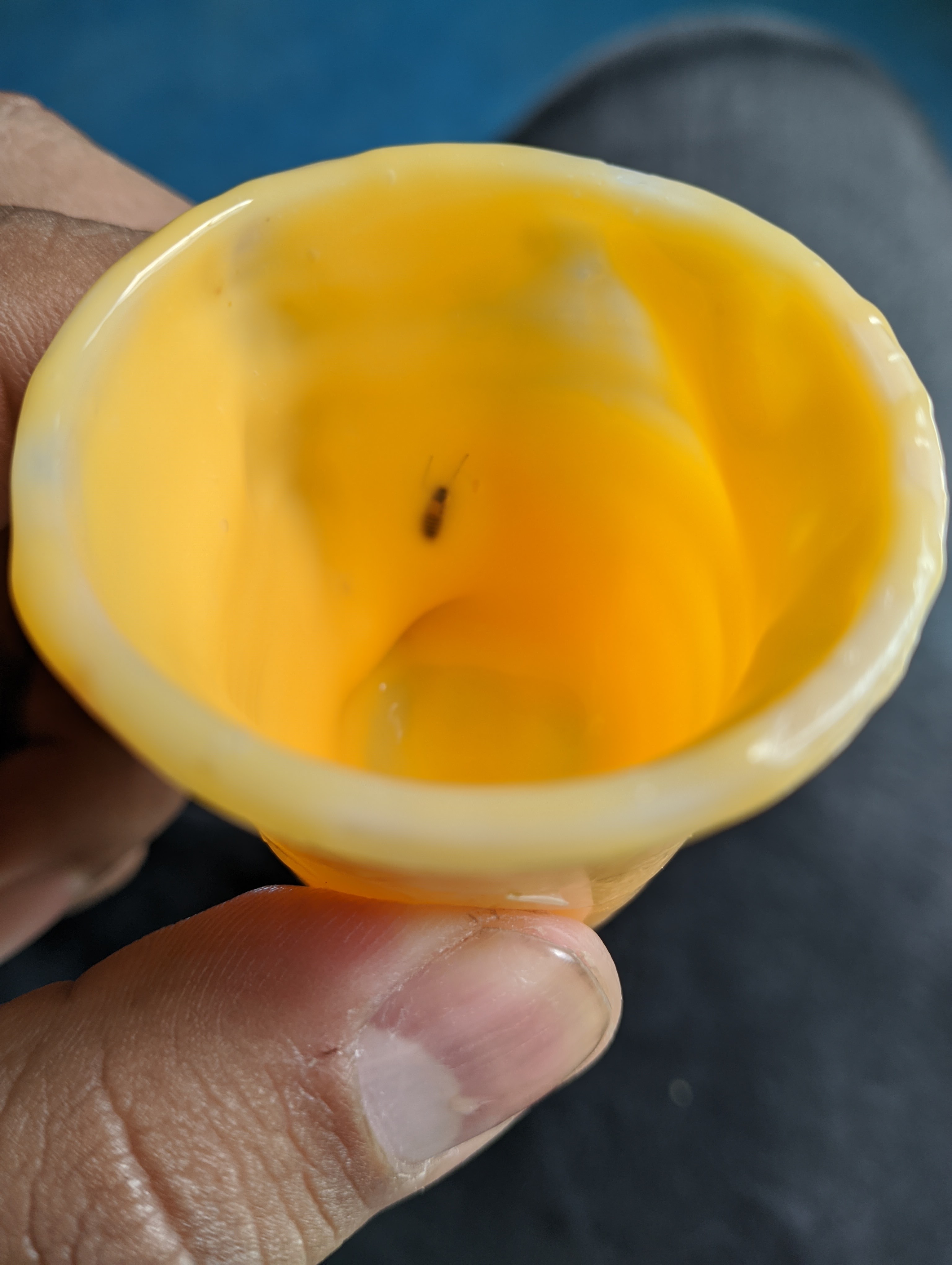 "La cocina de la abuela" image 9