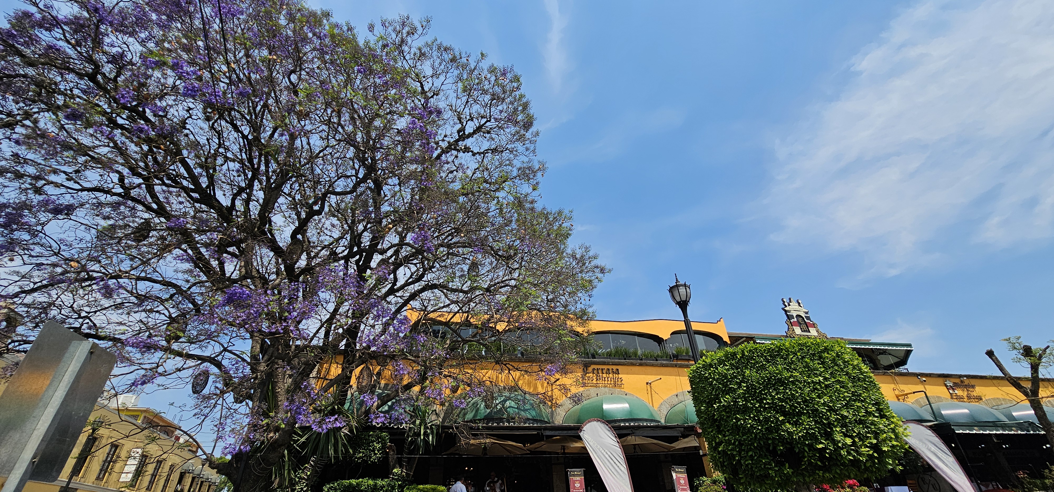 Restaurante Los Virreyes image 7