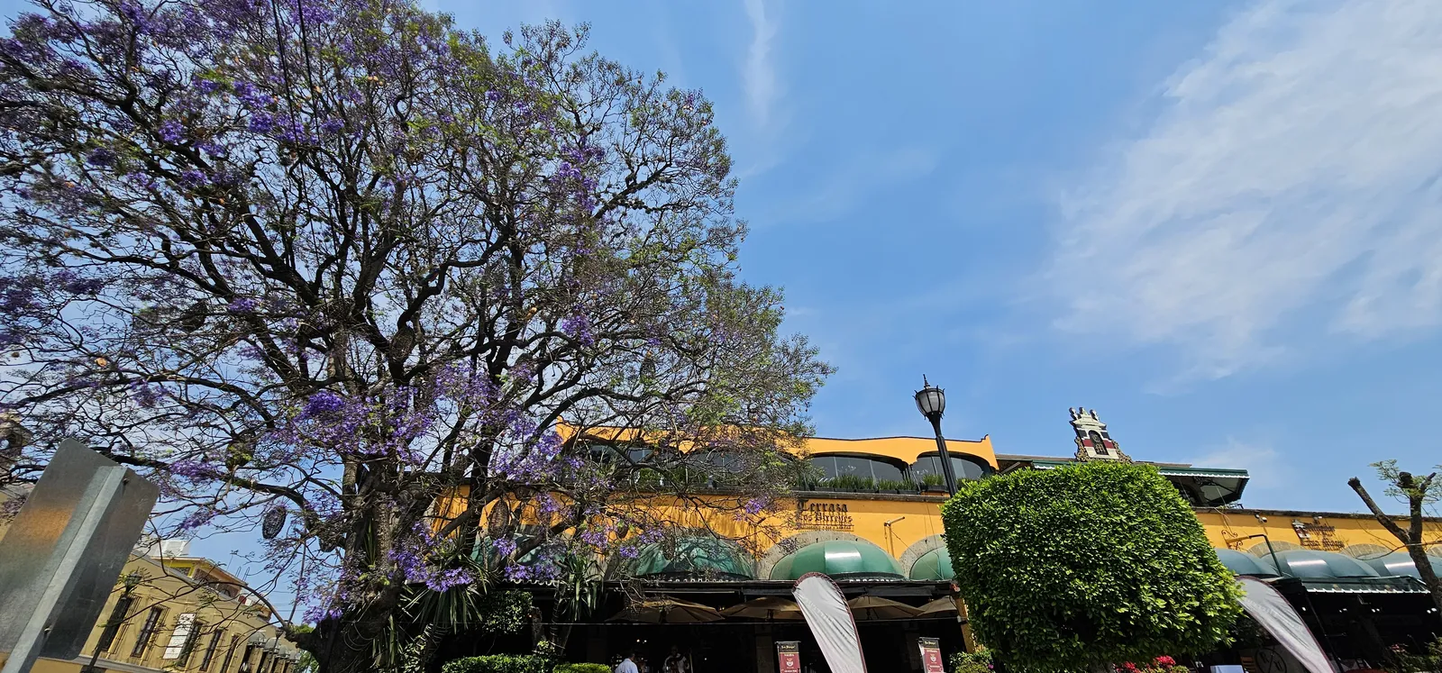Restaurante Los Virreyes image 7