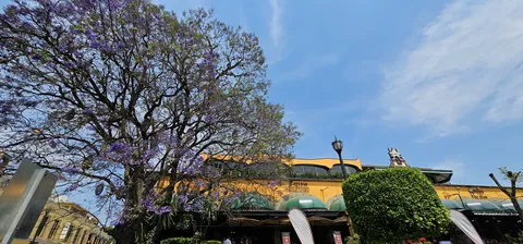 Restaurante Los Virreyes image 7