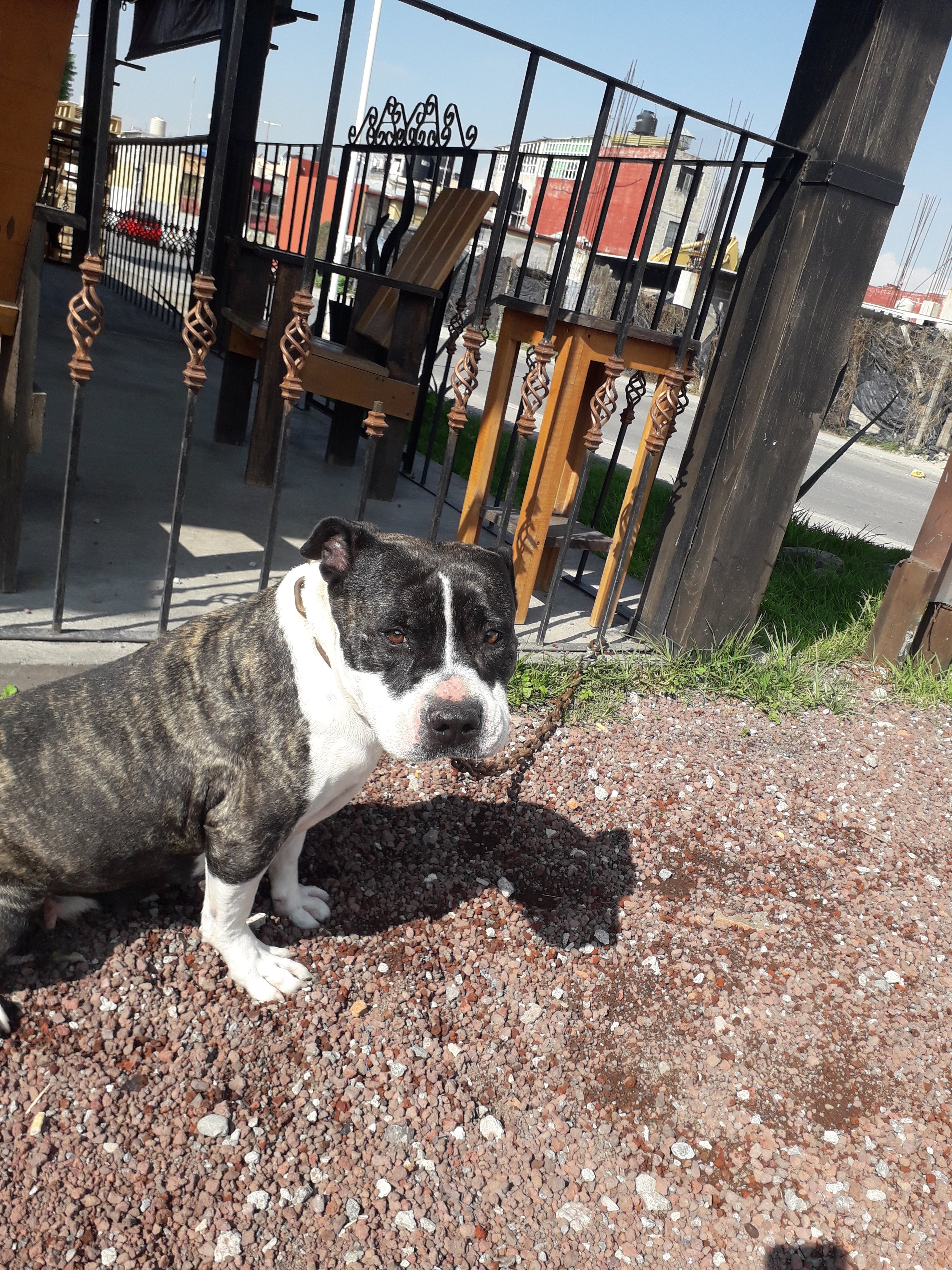 Restaurante las tejas image 9