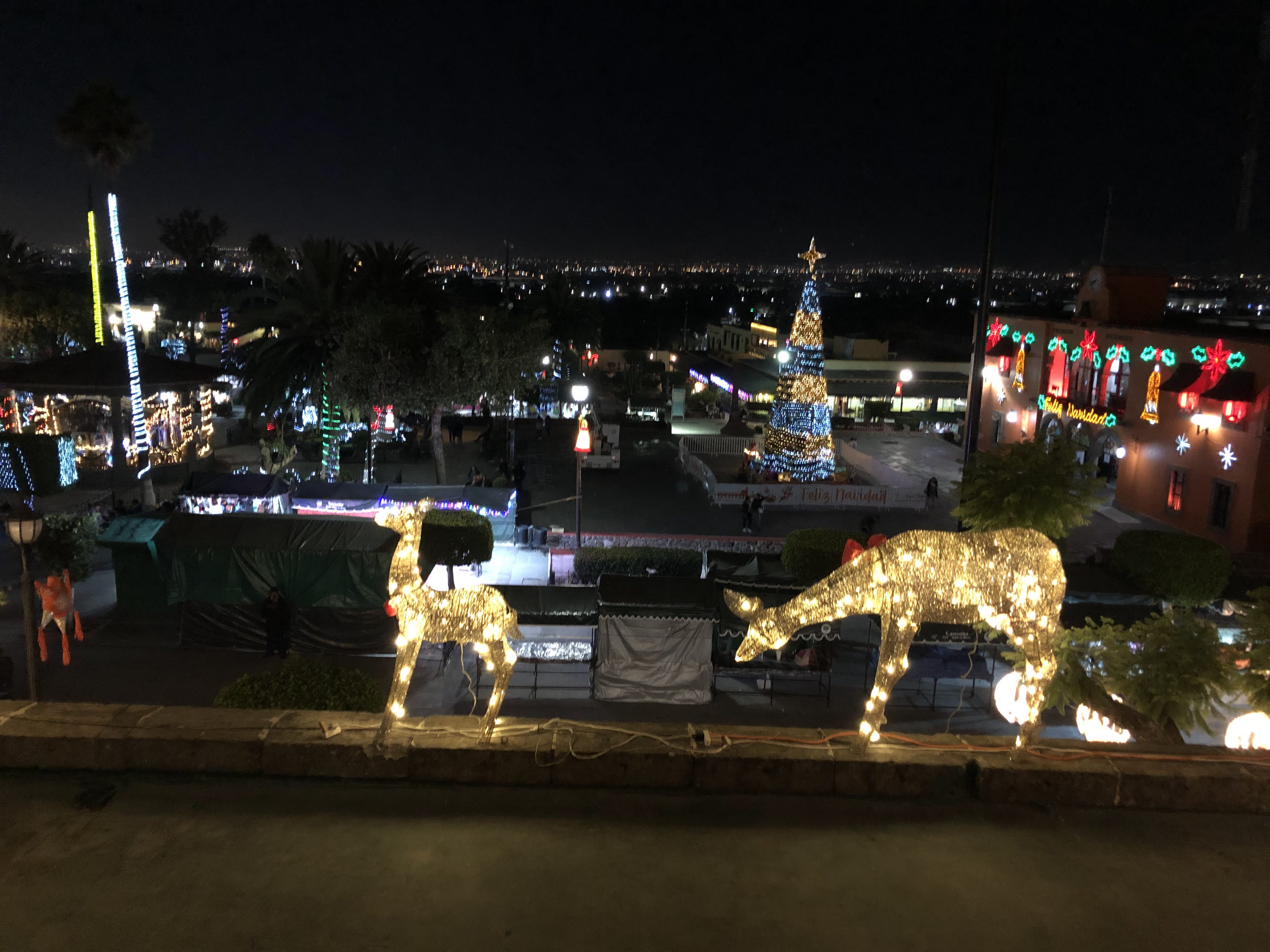 CASA MAGO Restaurante-Bar image 8
