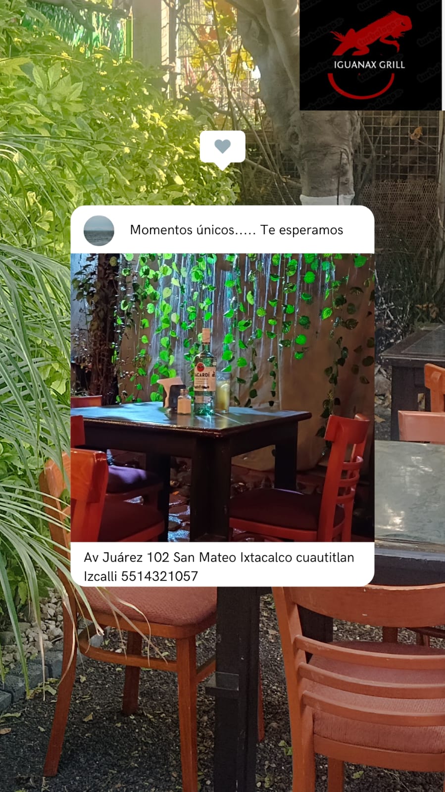 Iguanax grill image 1