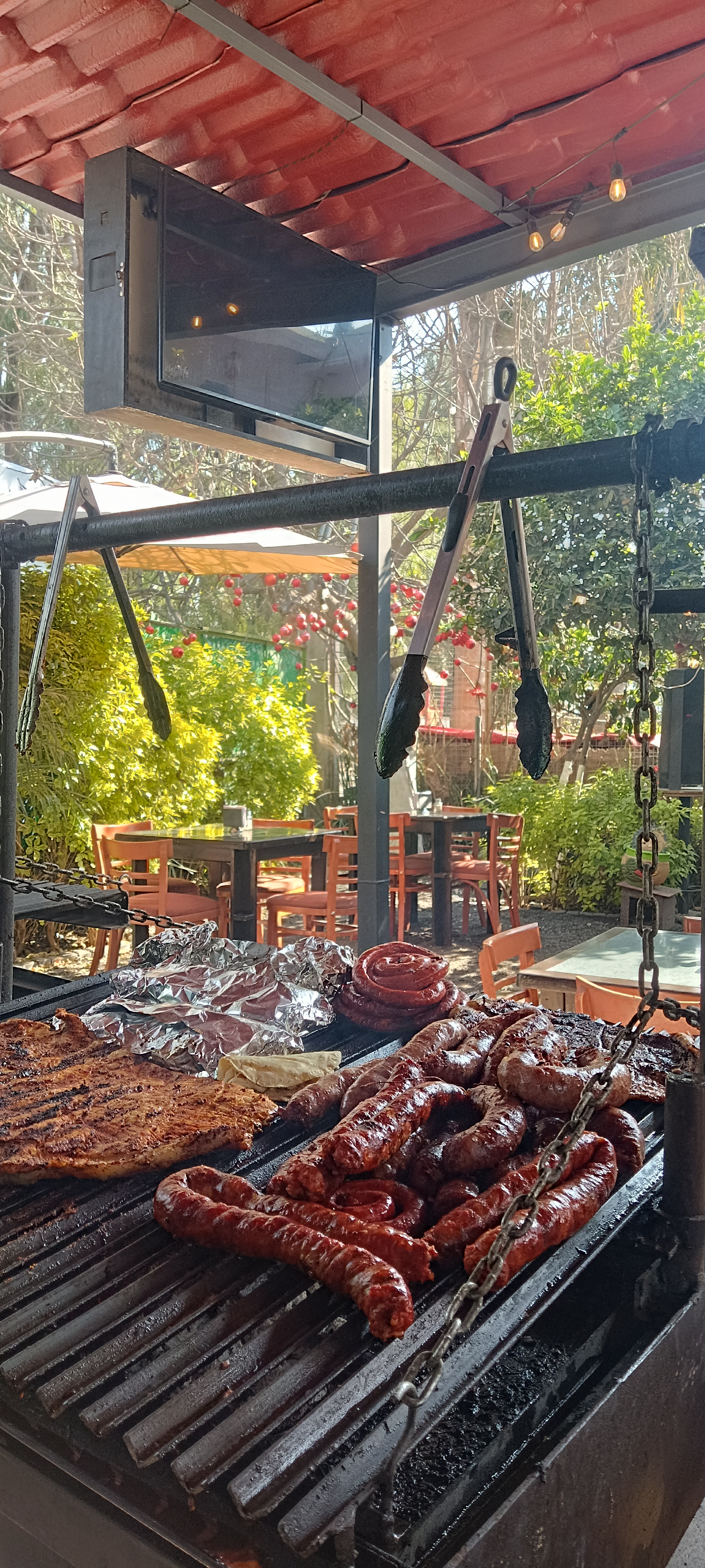 Iguanax grill image 3