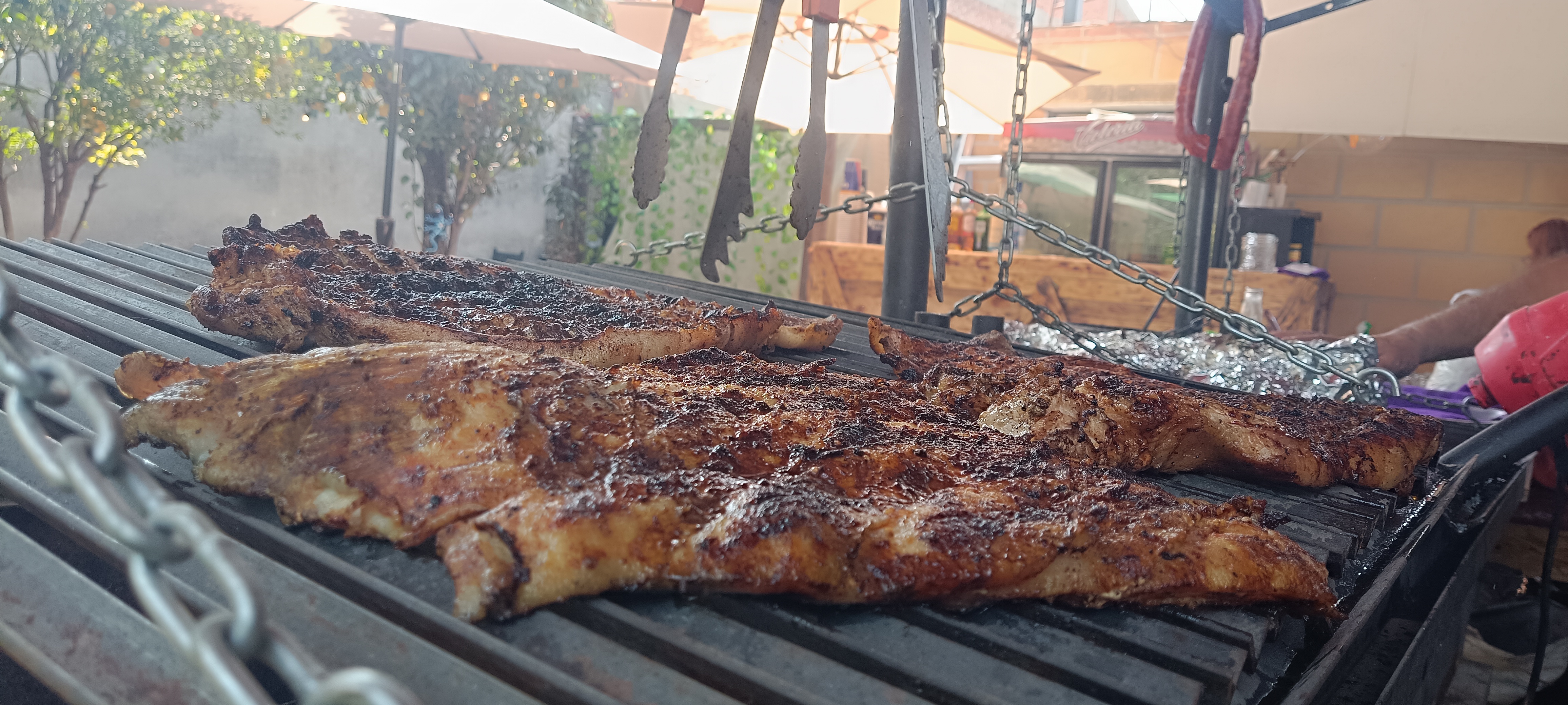 Iguanax grill image 4