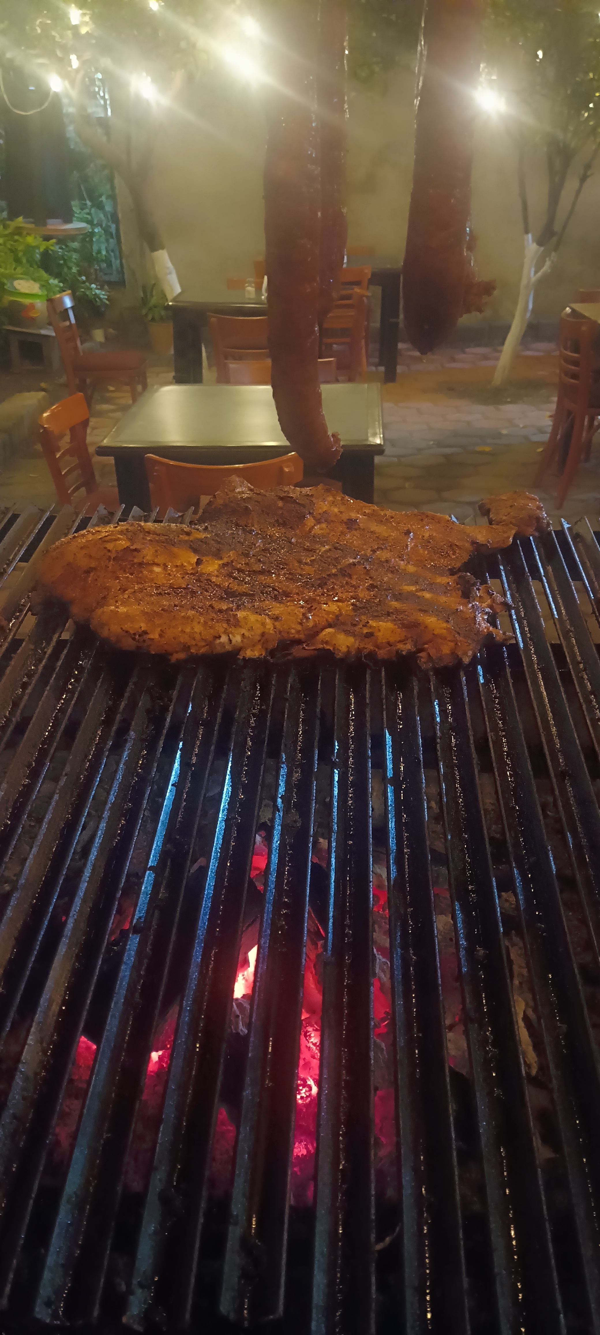 Iguanax grill image 6