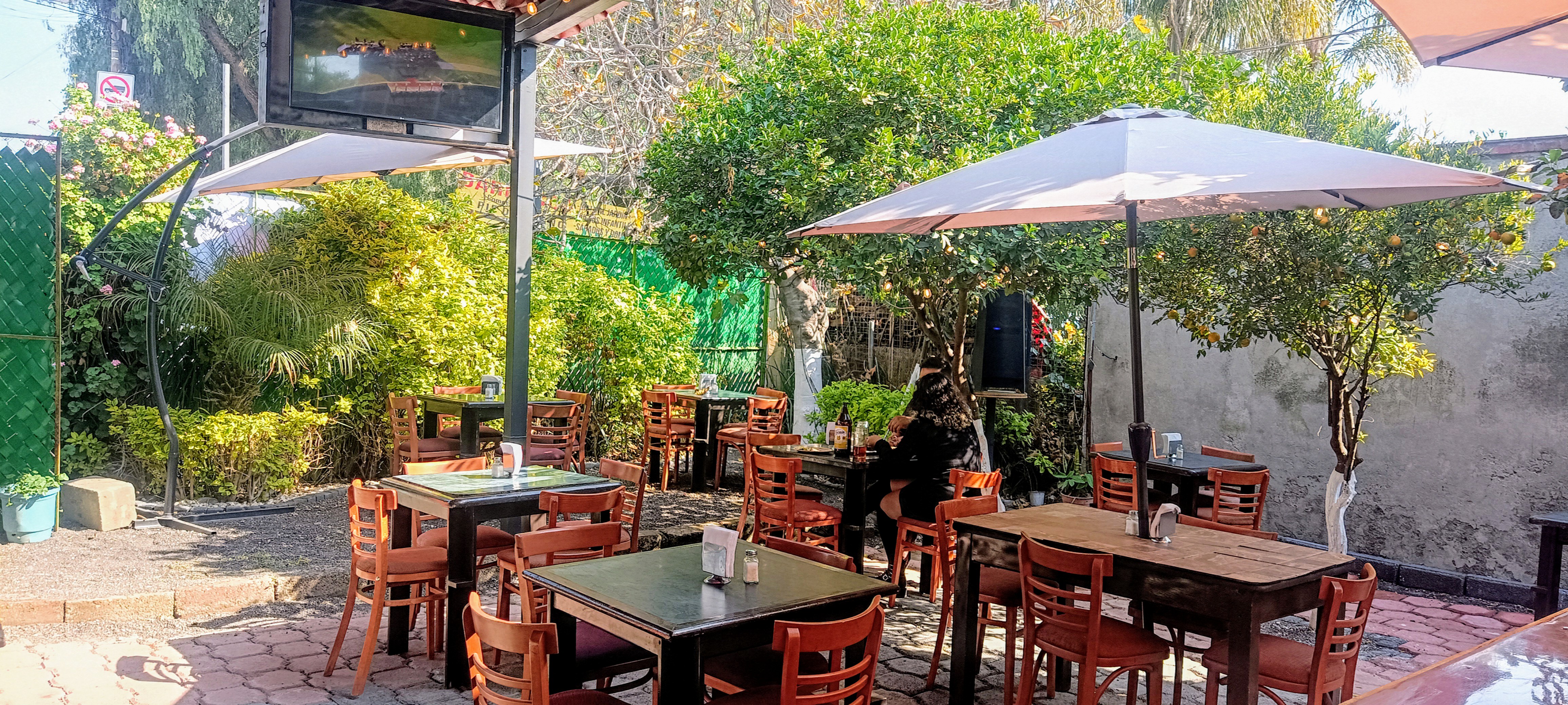 Iguanax grill image 7