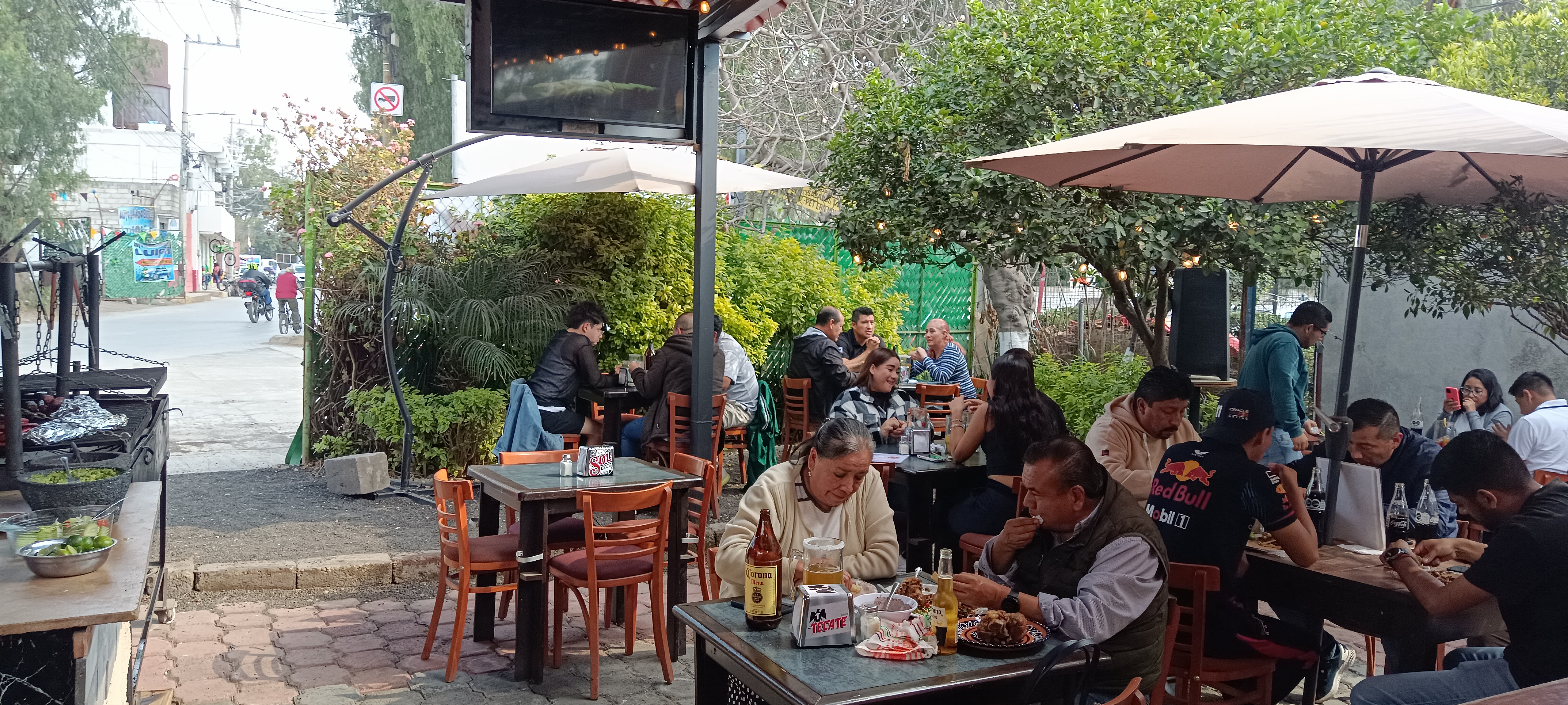 Iguanax grill image 8