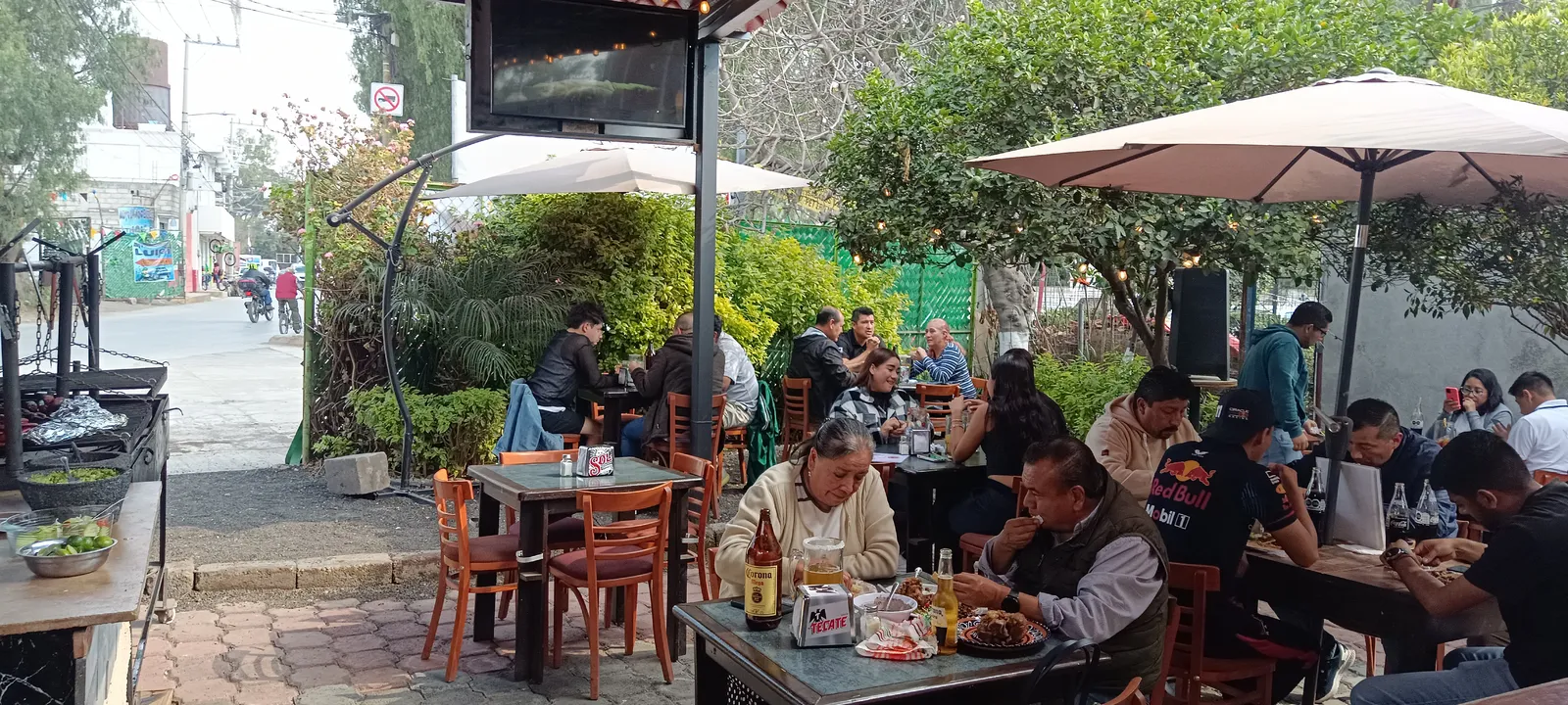 Iguanax grill image 8