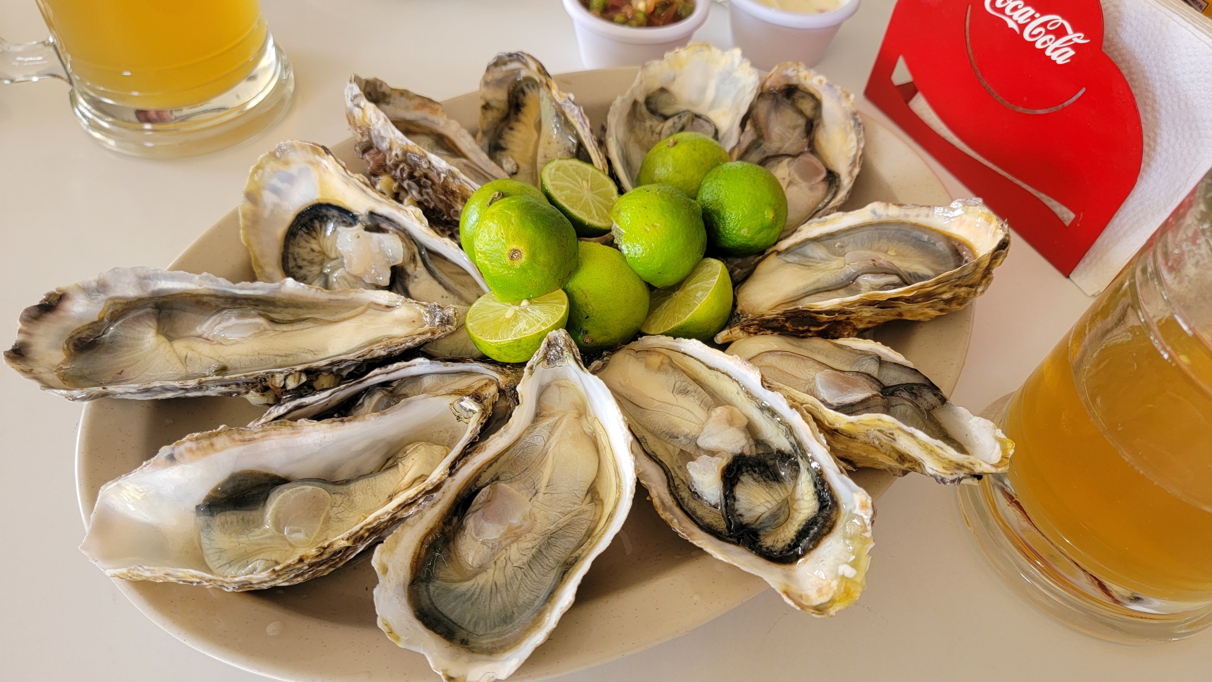 Cockteleria Miramar image 2