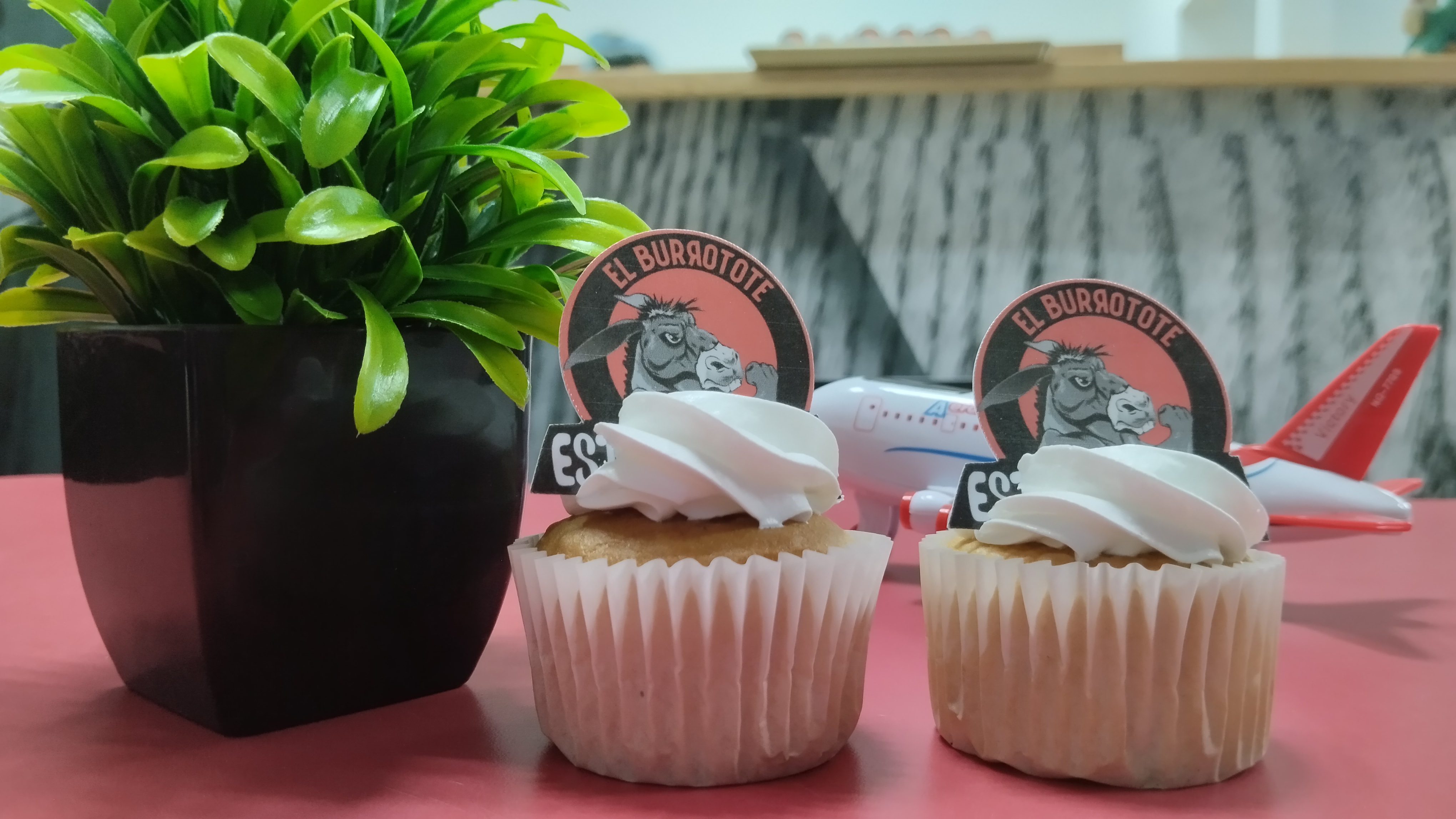 El Burrotote image 4