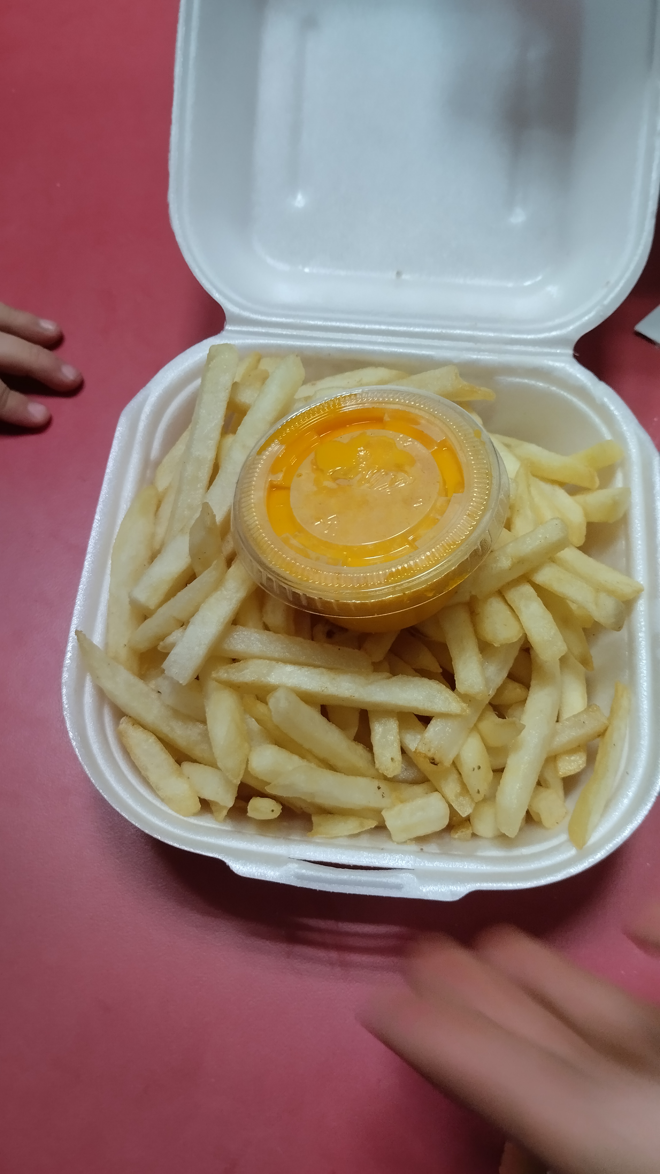 El Burrotote image 5