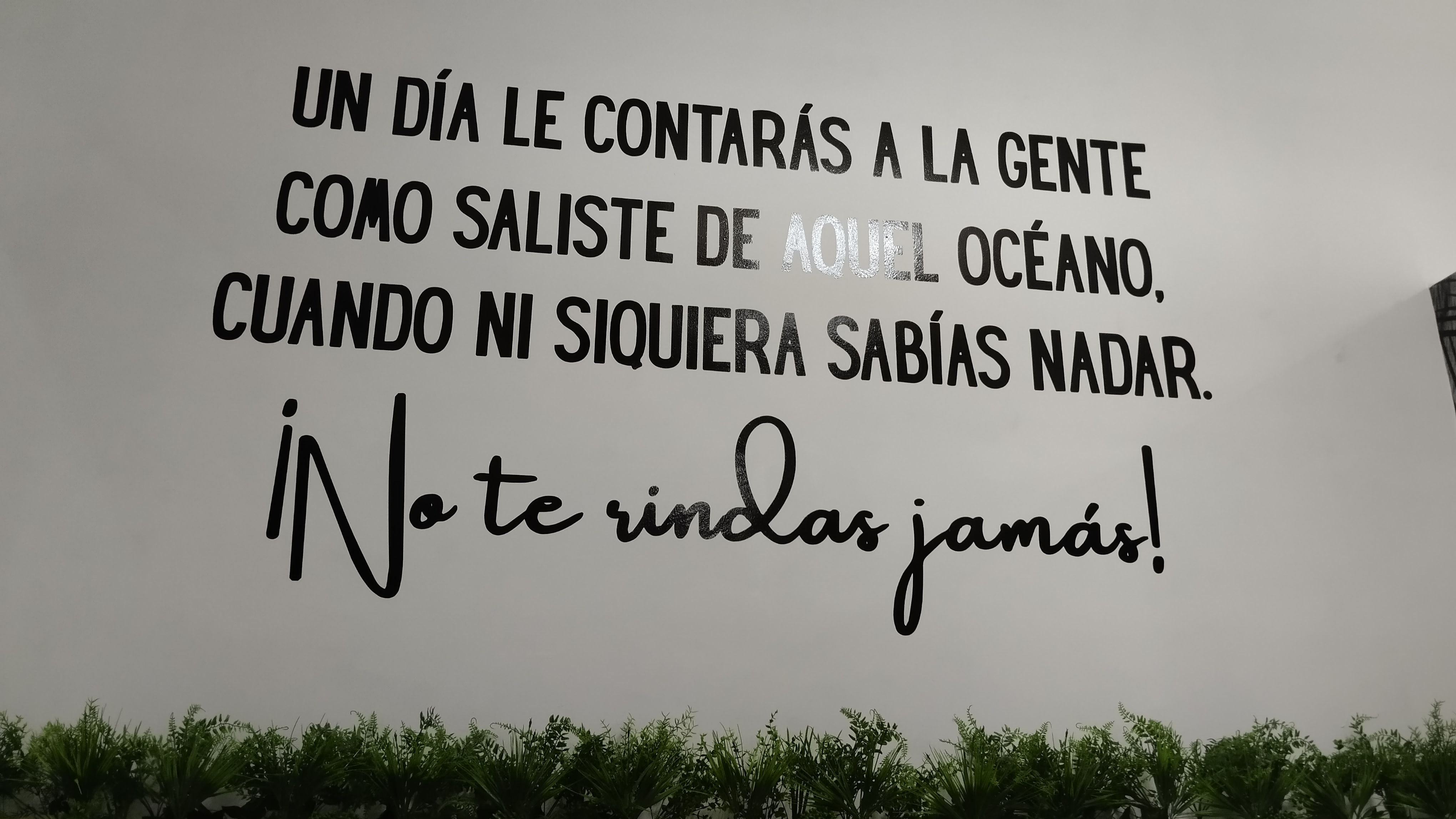 El Burrotote image 9