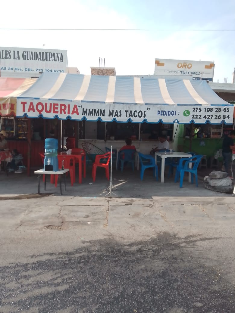 TAQUERIA MMM MAS TACOS!!! image 1